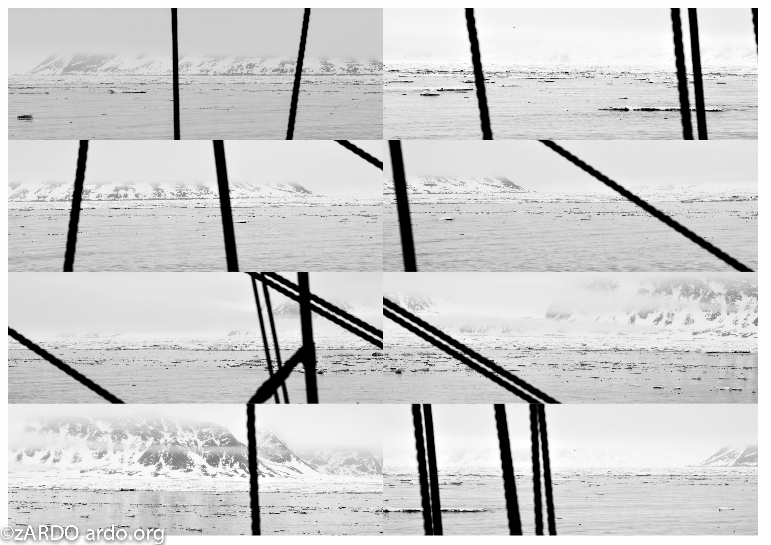 AC Arctic Abstracts 2015©zARDO-19.jpg