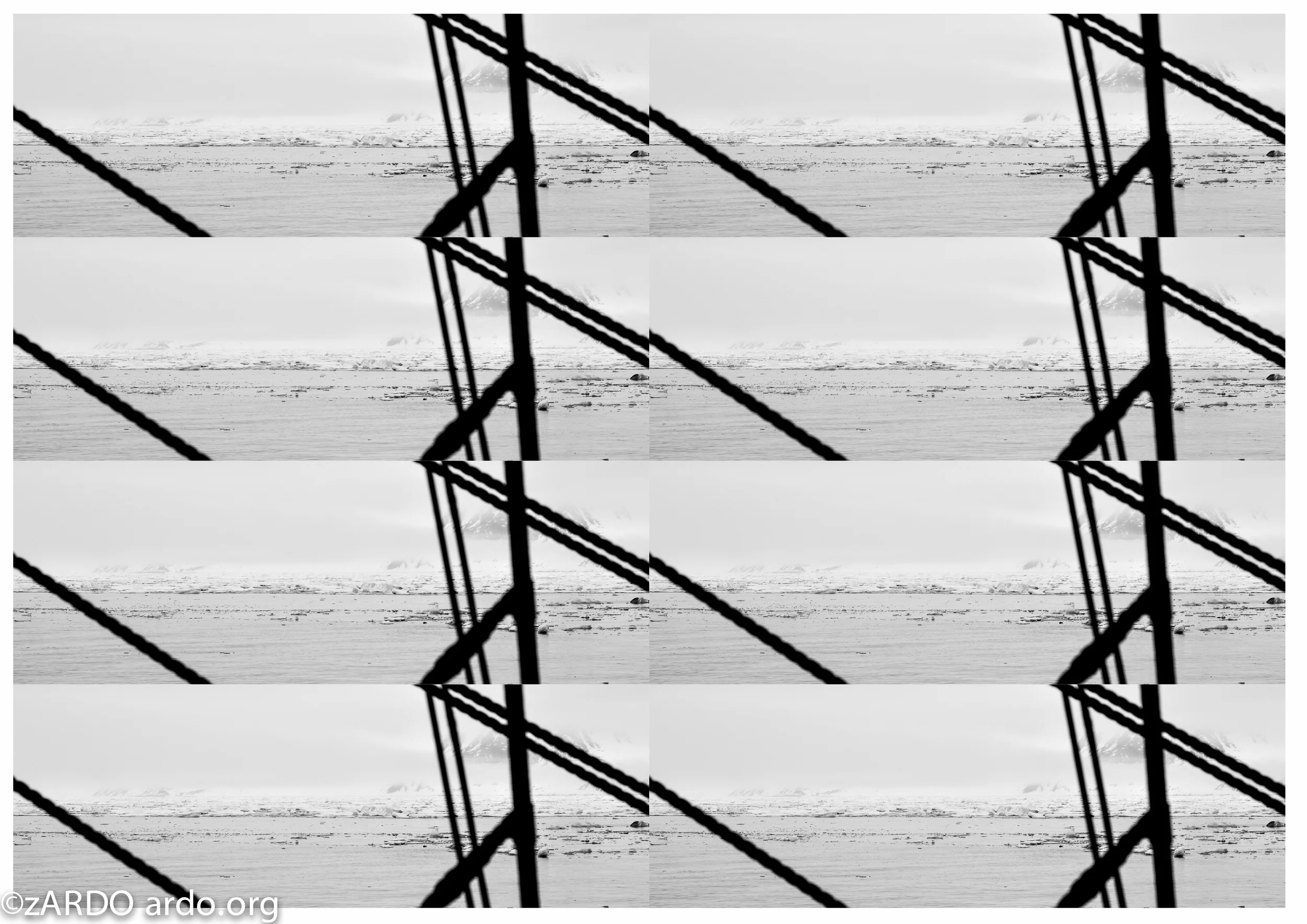 AC Arctic Abstracts 2015©zARDO-12.jpg