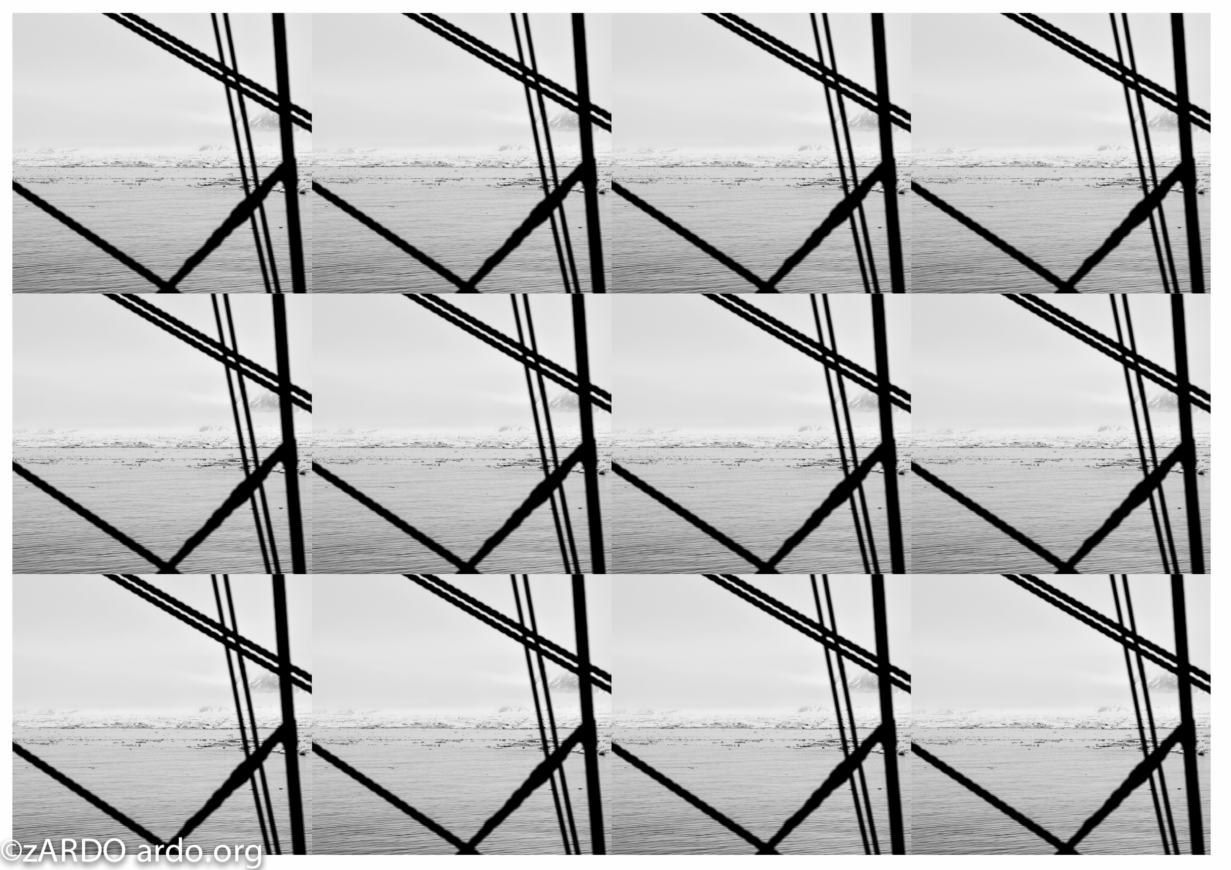 AC Arctic Abstracts 2015©zARDO-11.jpg