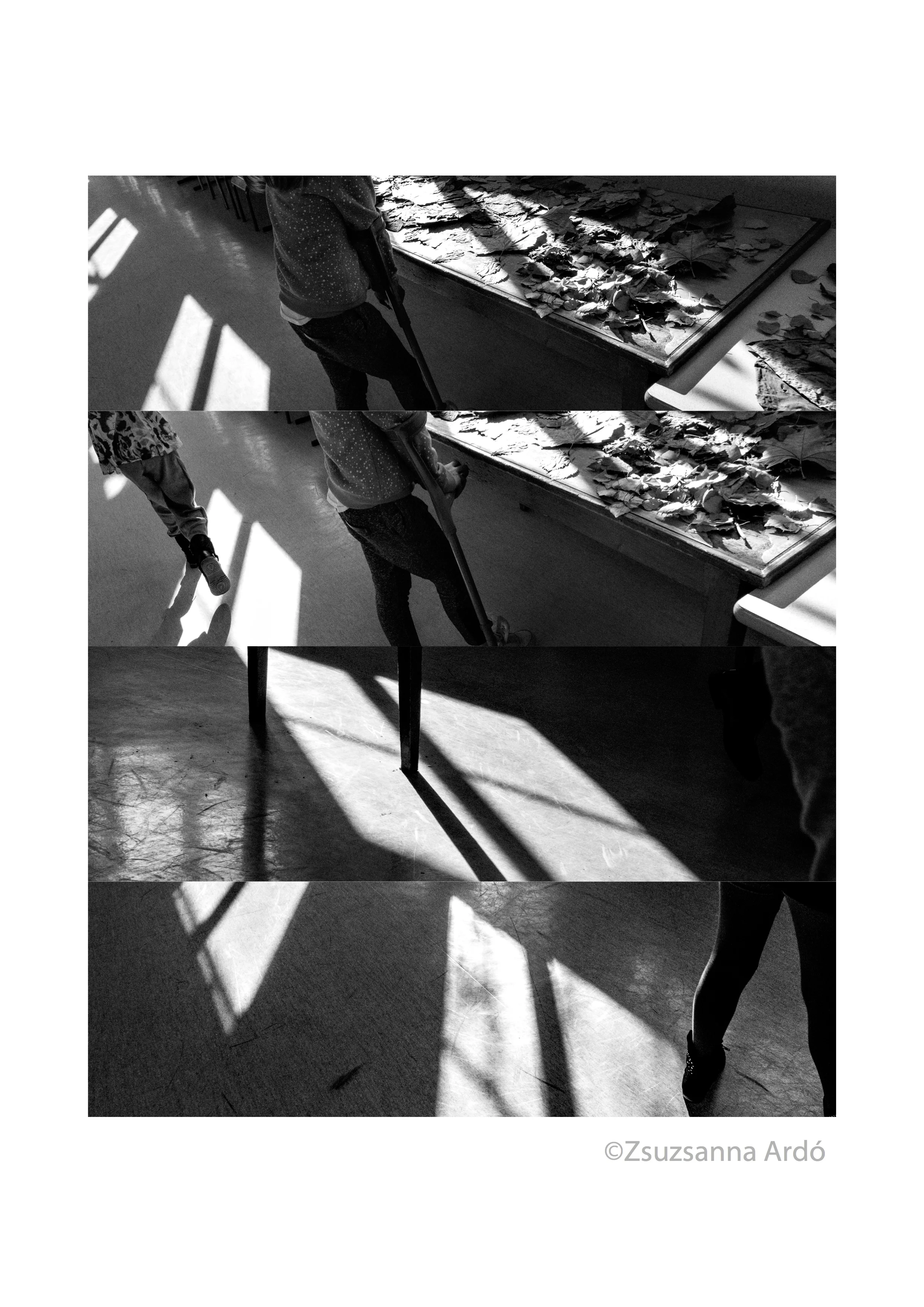 Lightroom (P1150557.RW2 and 3 others).jpg