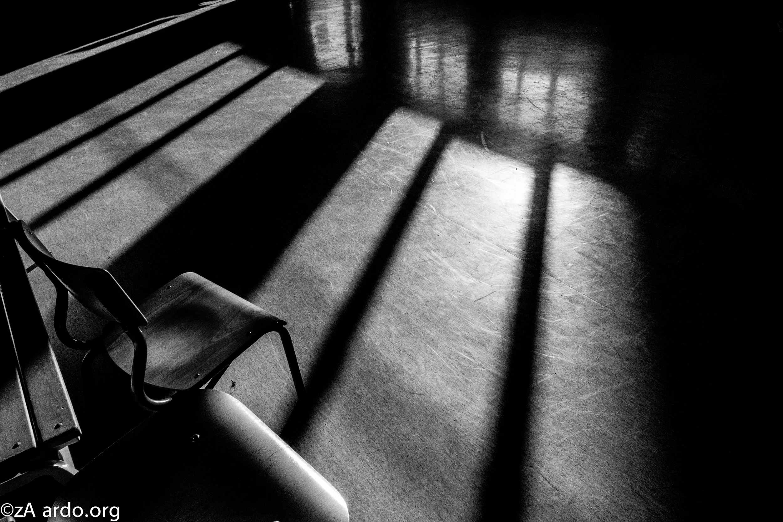 LL Leaves Lives bw©ardo-33.jpg