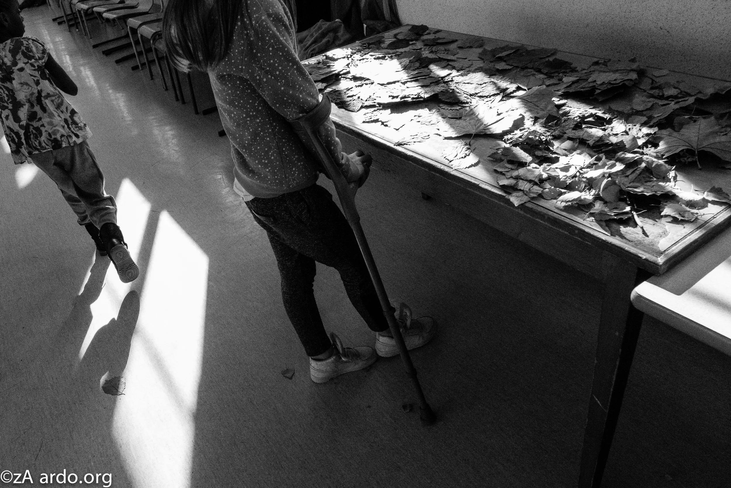 LL Leaves Lives bw©ardo-19.jpg