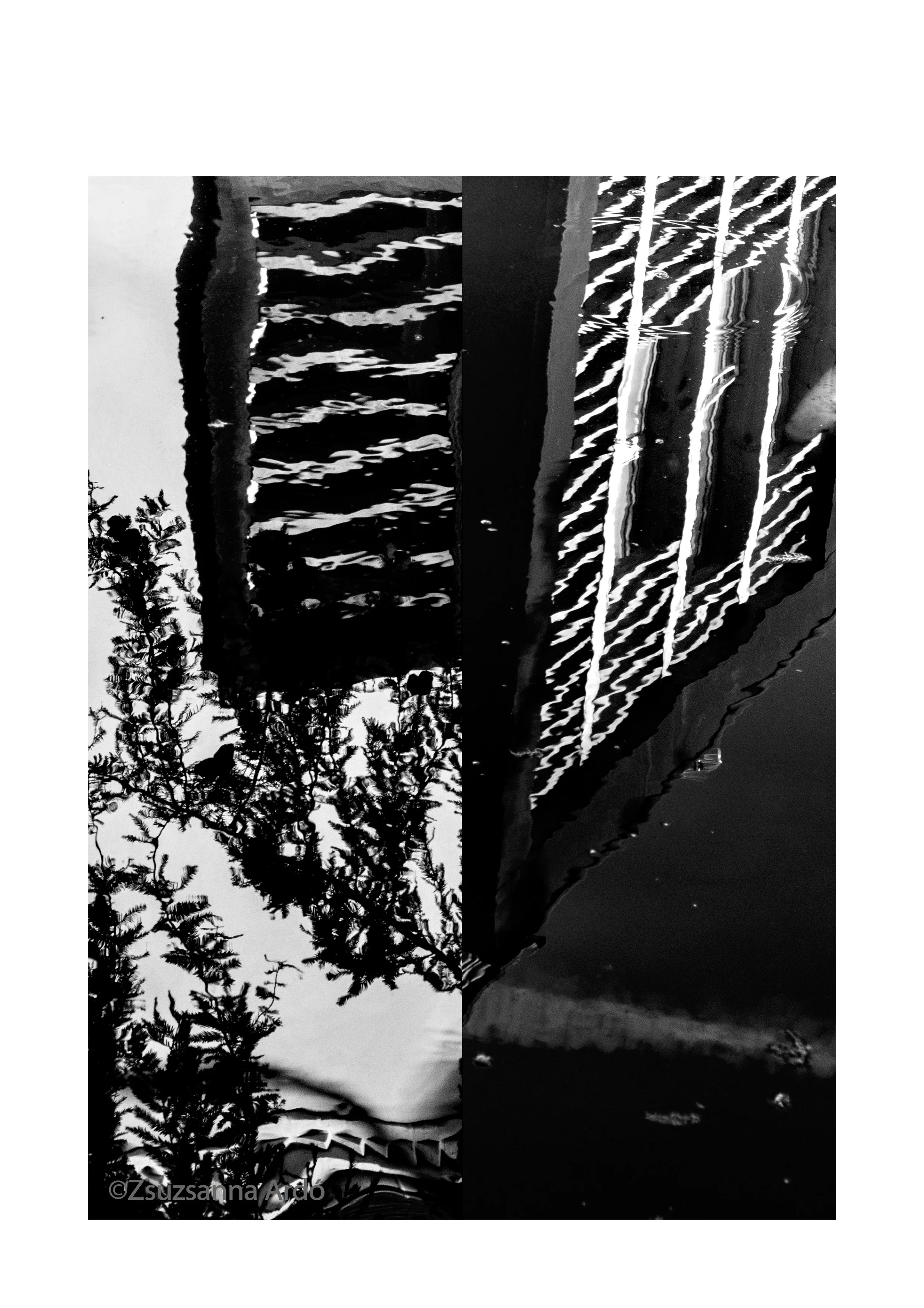 ©ardo cdb 39.jpg