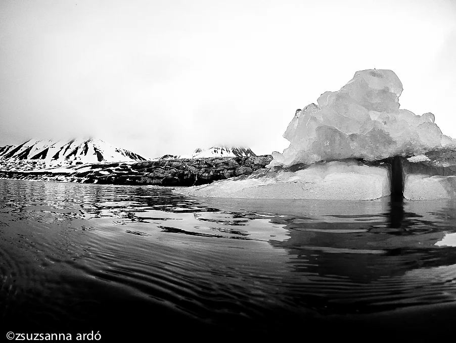 AC bw©ardo-1.jpg