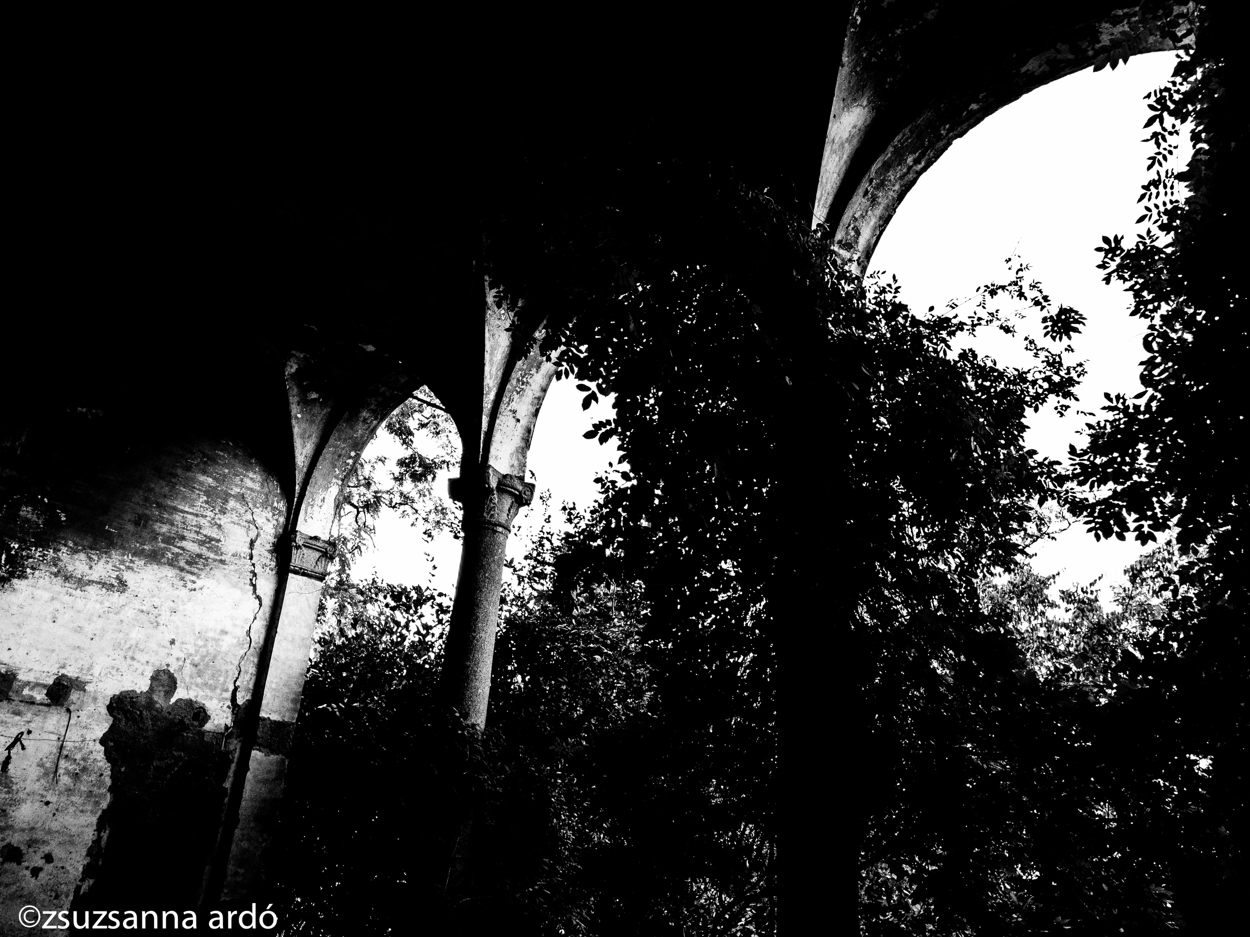 Buccinasco Castello bw©ardo-7.jpg