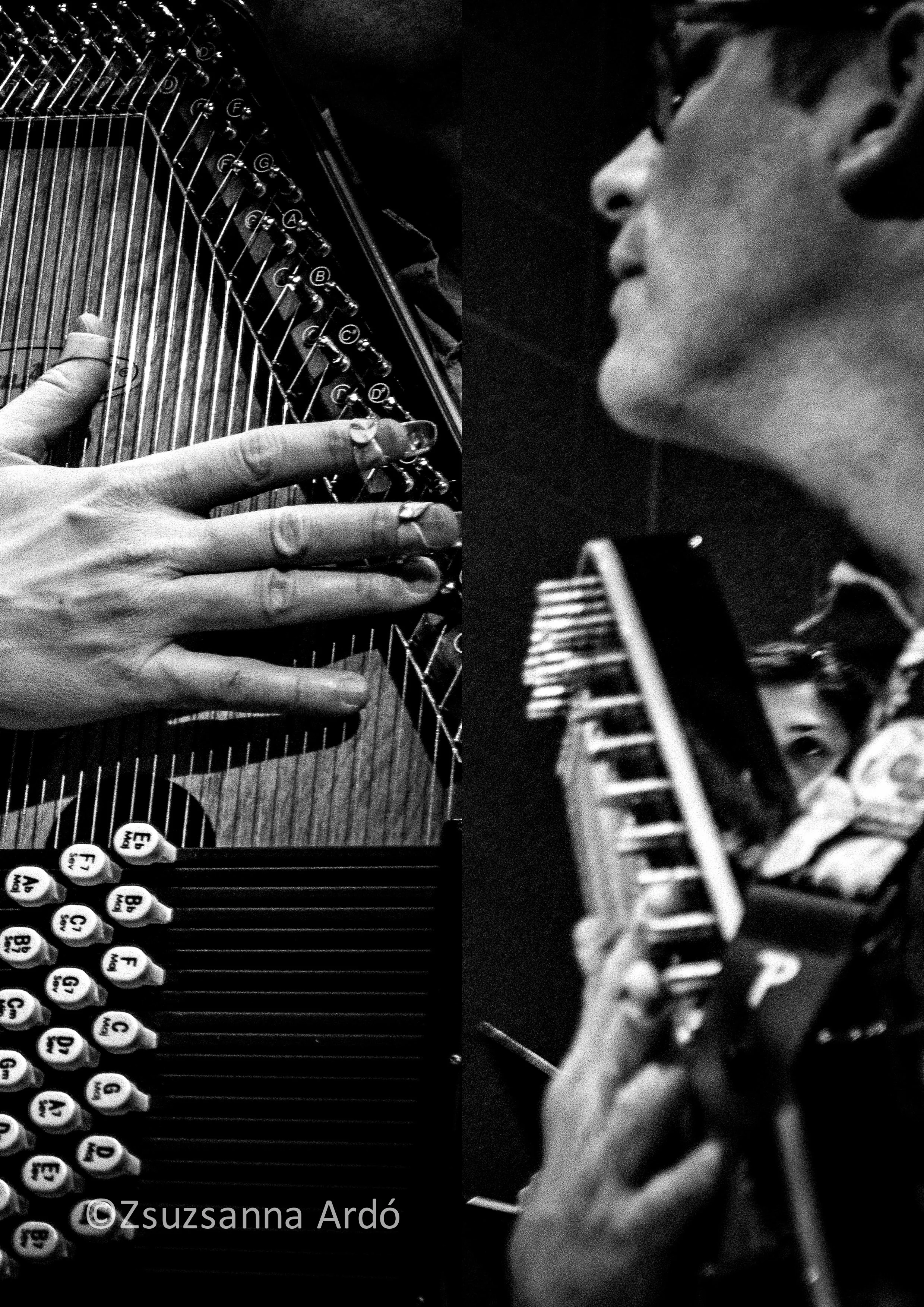 16 Shapeshifting Soundscapes©ardó-20.jpg