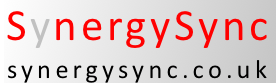 synergy logo w website.png