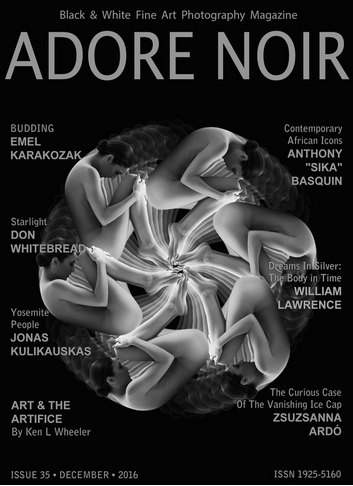 16 Adore Noir No35 cover featured artists.png