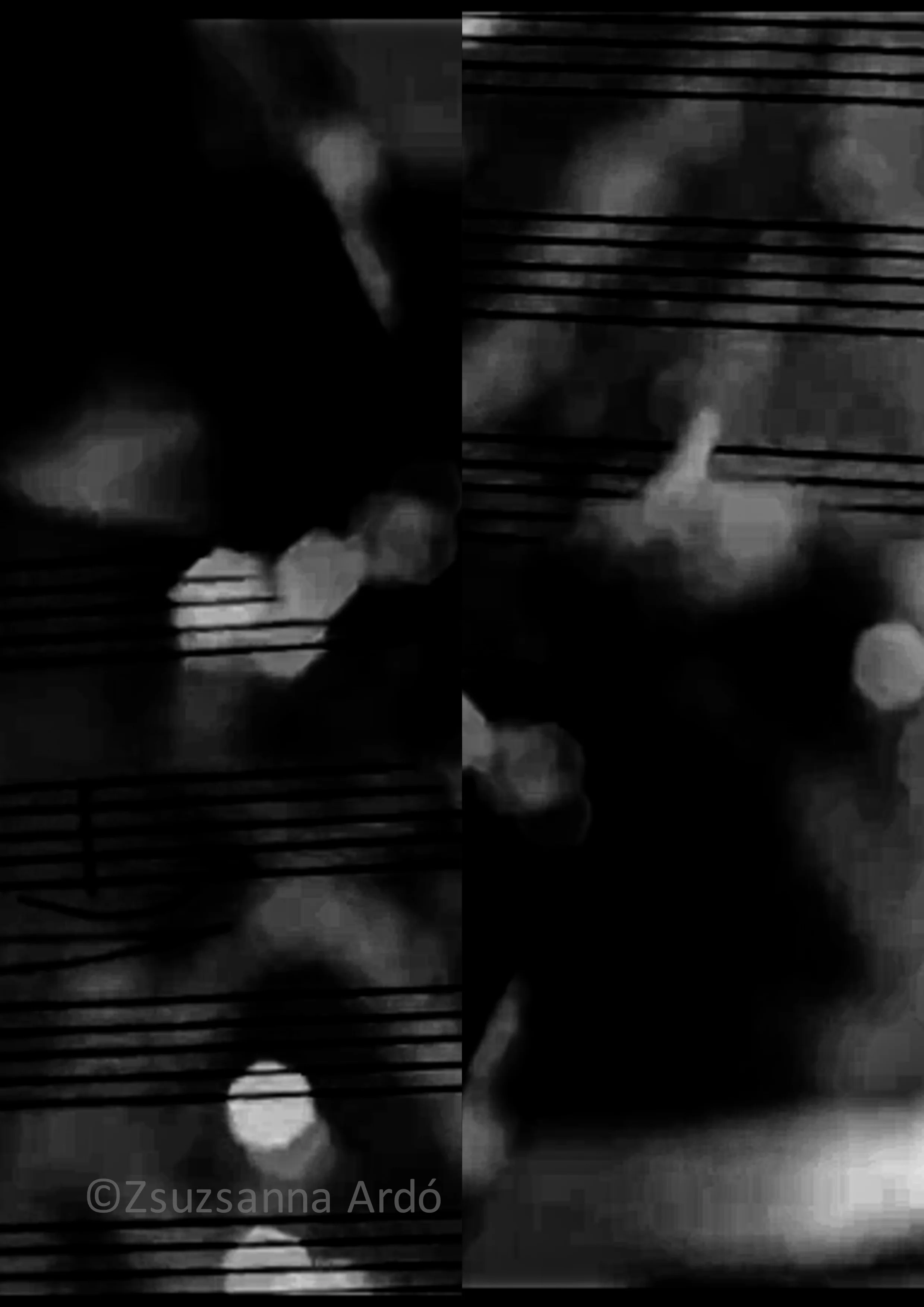 16 Art?Works!©Zsuzsanna Ardó-8.jpg