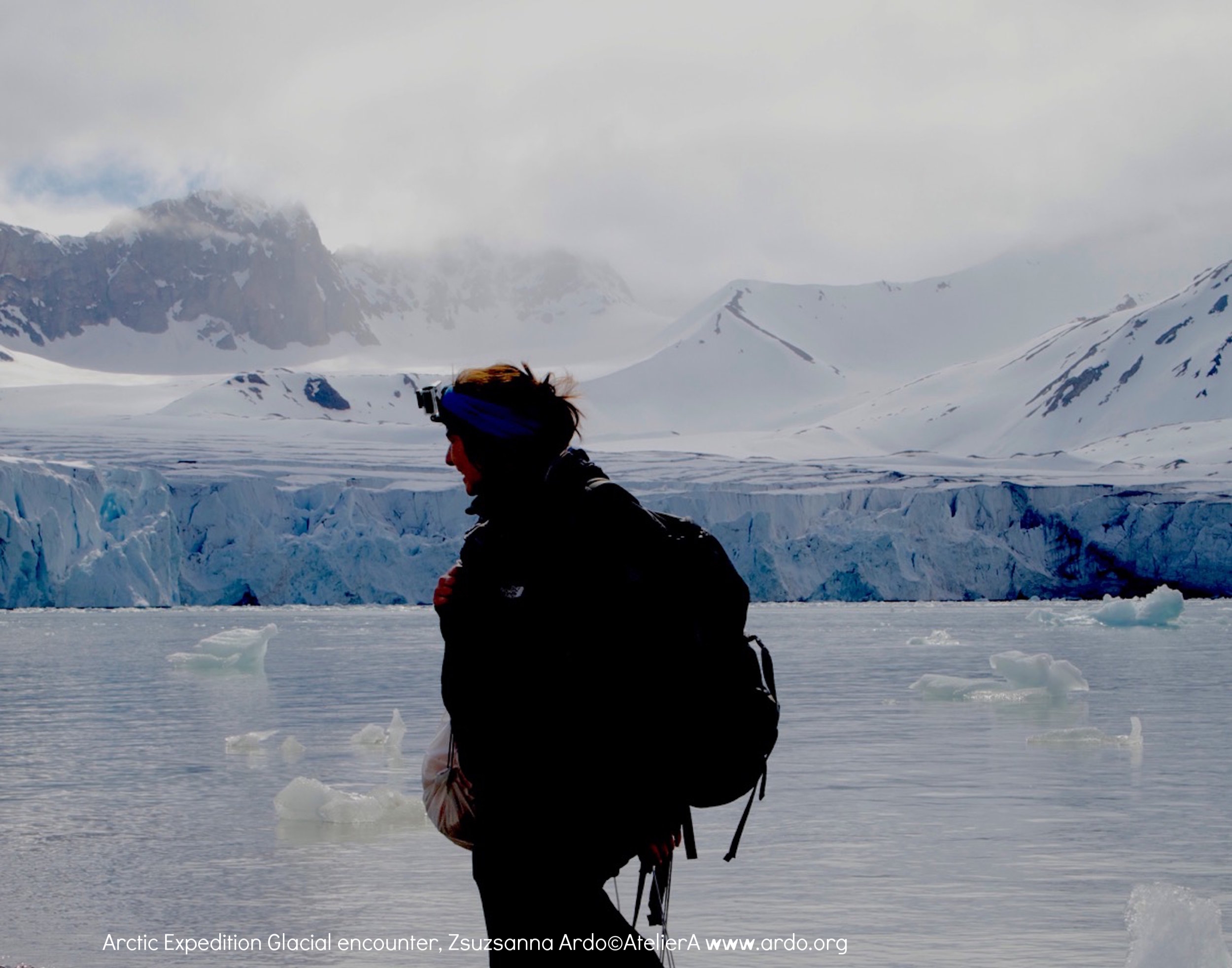 Zsuzsanna ARDÓ Arctic.jpeg