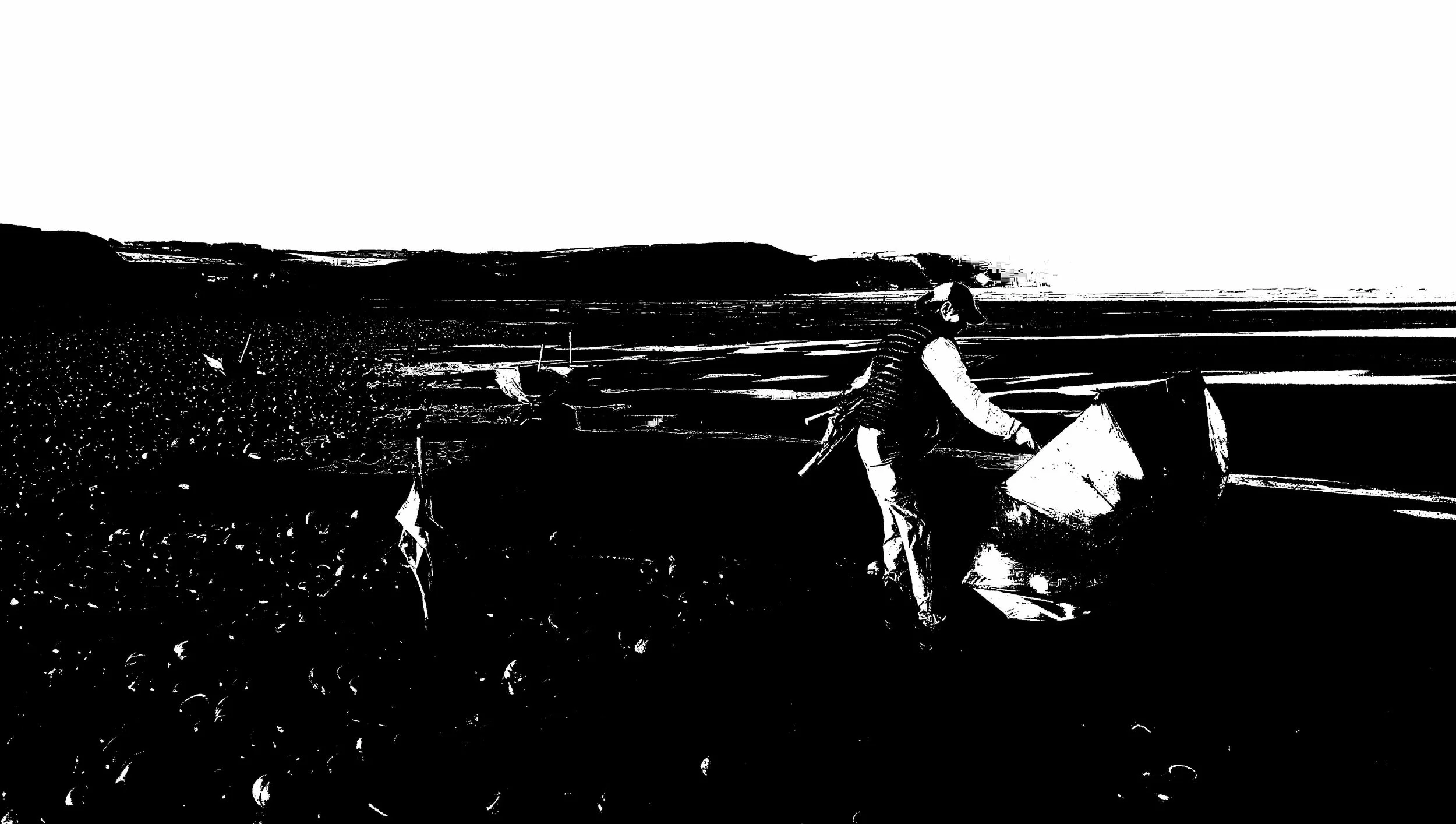 Zsuzsanna Ardó bw  abstracted GSB©AtelierA.jpeg