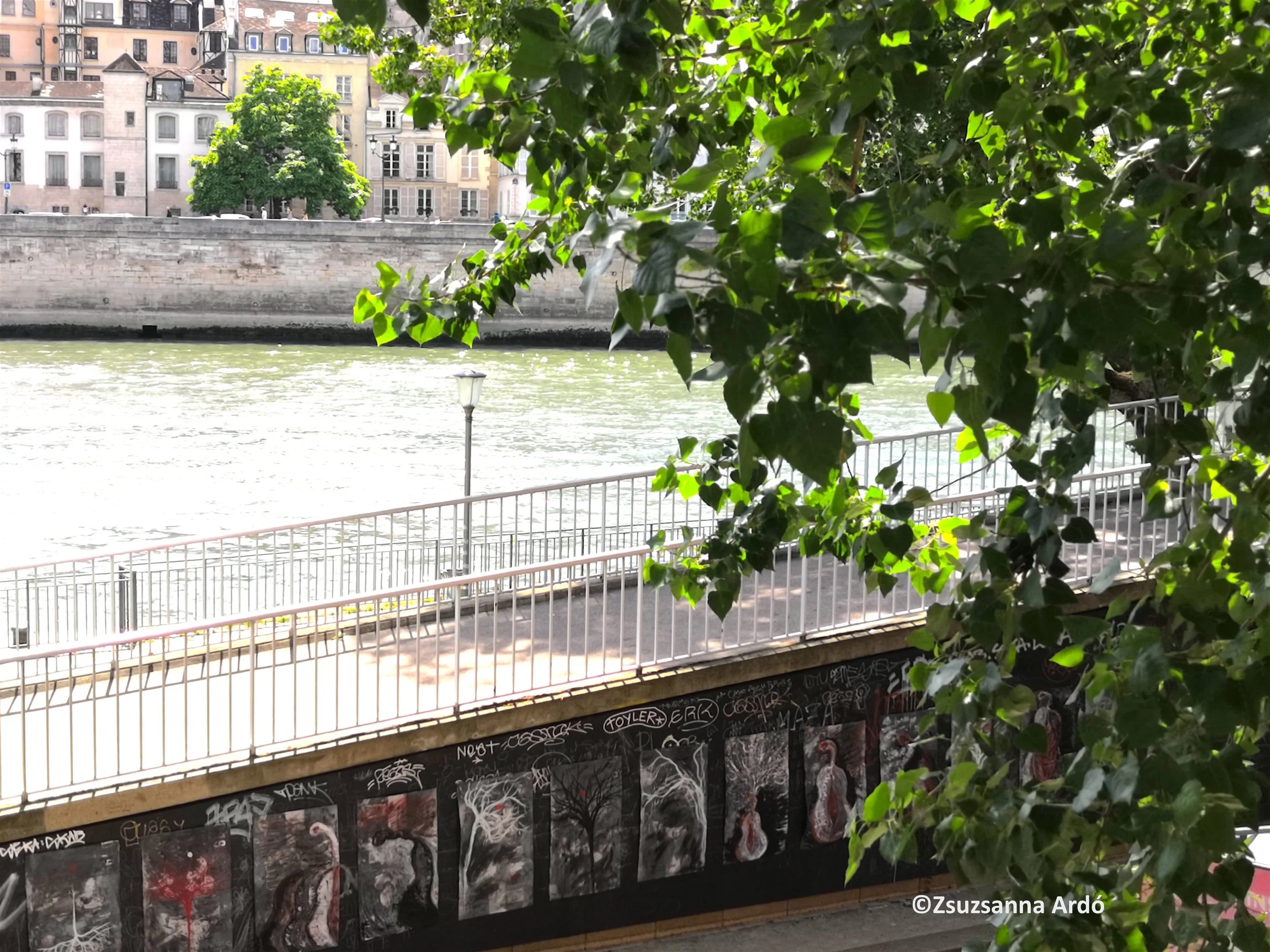 19FRparis VVV installation by Seine©ARDO IMG_20190606_155309.jpg