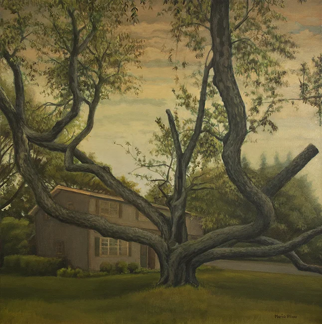 The Story behind the "Dark Cherry Tree"