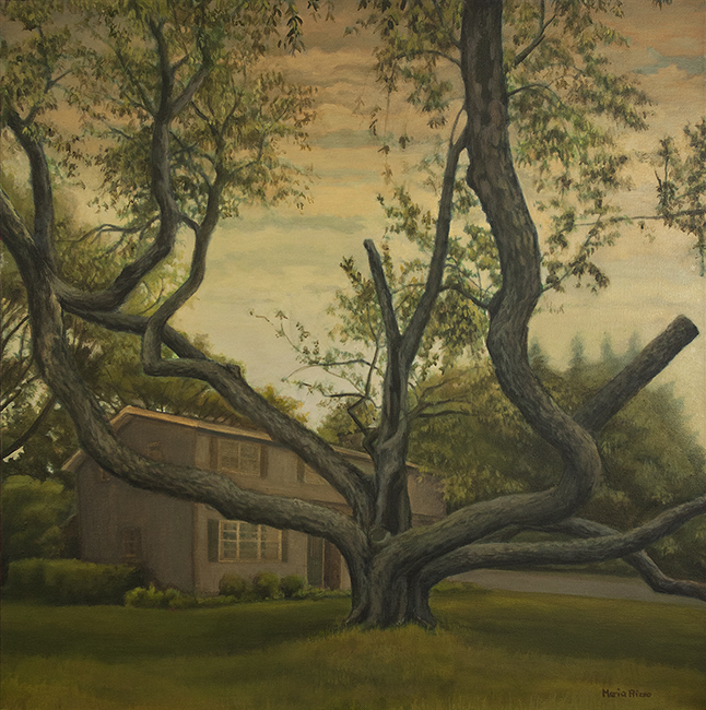 The Dark Cherry Tree is a 24x24x1.5" acrylic on canvas that I painted in July and August and finished in December, 2014.