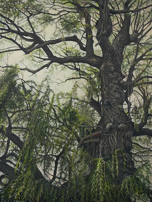 Willow Tree by Maria Rizzo, 24x18x1.5 acrylic on canvas. Dec. 2014