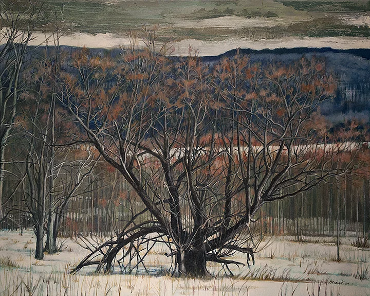 Unknown Tree, 24x30" acrylic on canvas, 2015 by Maria Rizzo.