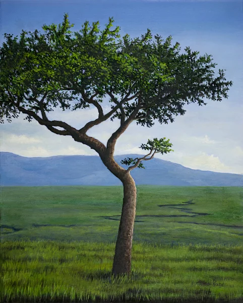 African Tree