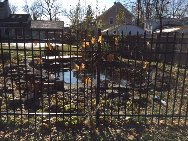 Installation of Leaves on Artic Kiwi's Plant