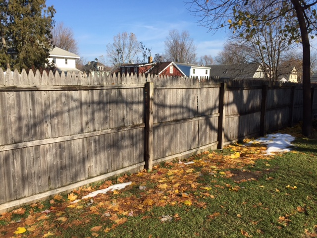 Shadows on Fence