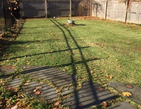 Shadows on Grass