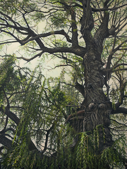 Willow Tree (2014)