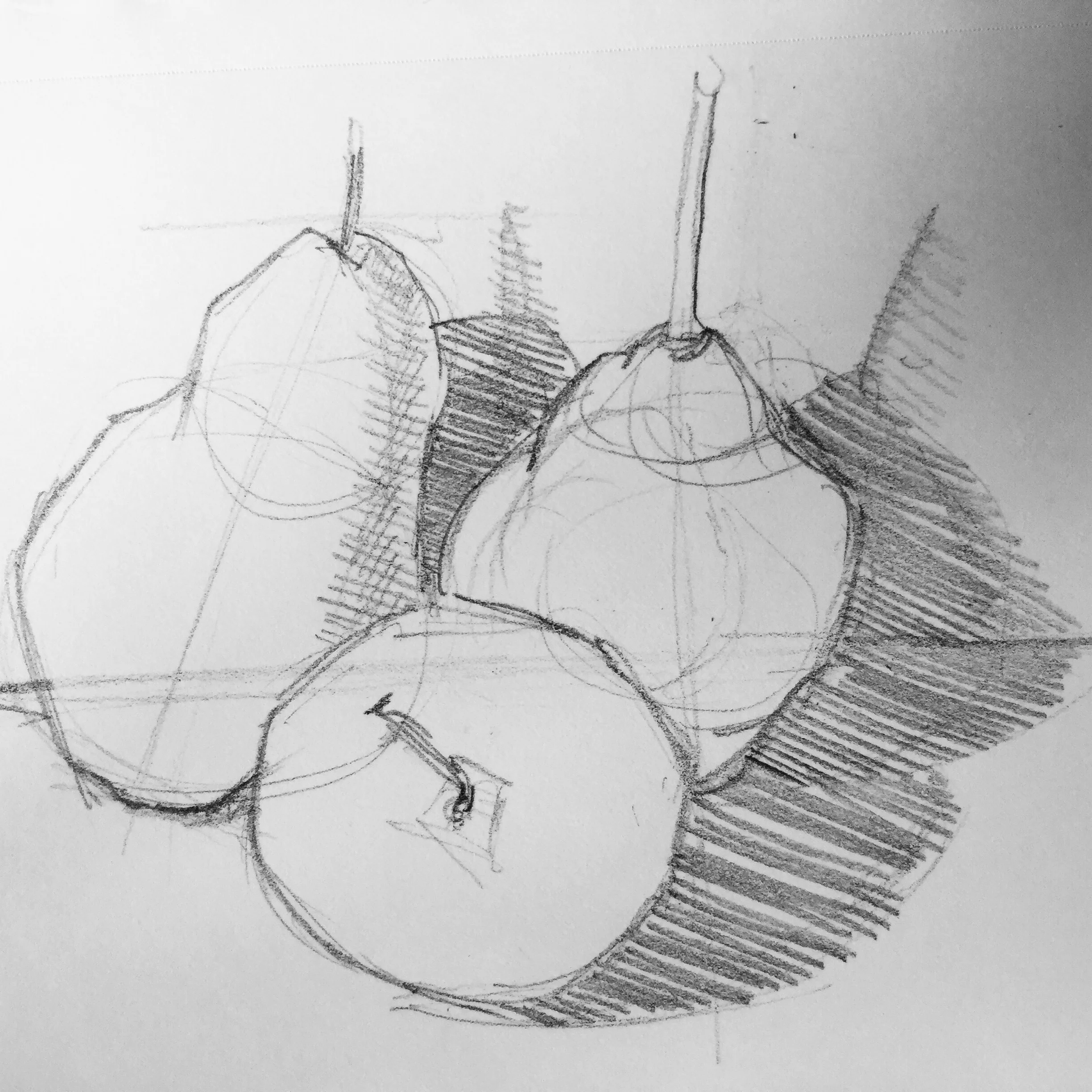 Study of Pears by Maria Rizzo