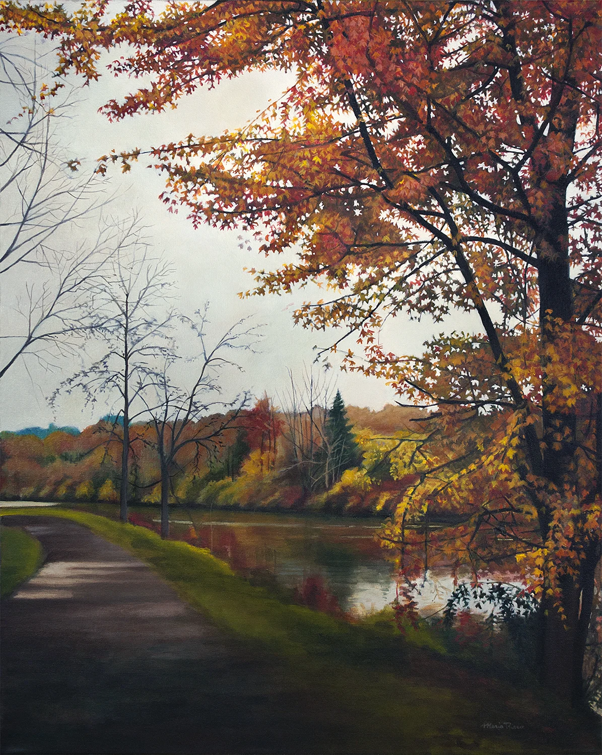 Trees Along the Canal