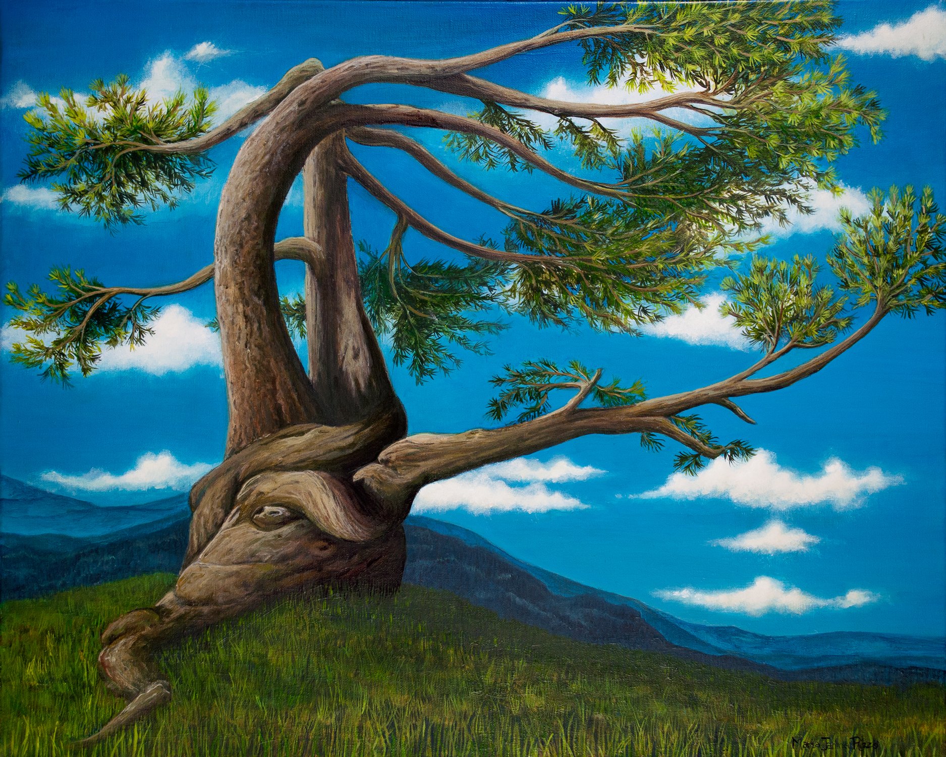 Tree in the Clouds, 24x36" Acrylic on Canvas