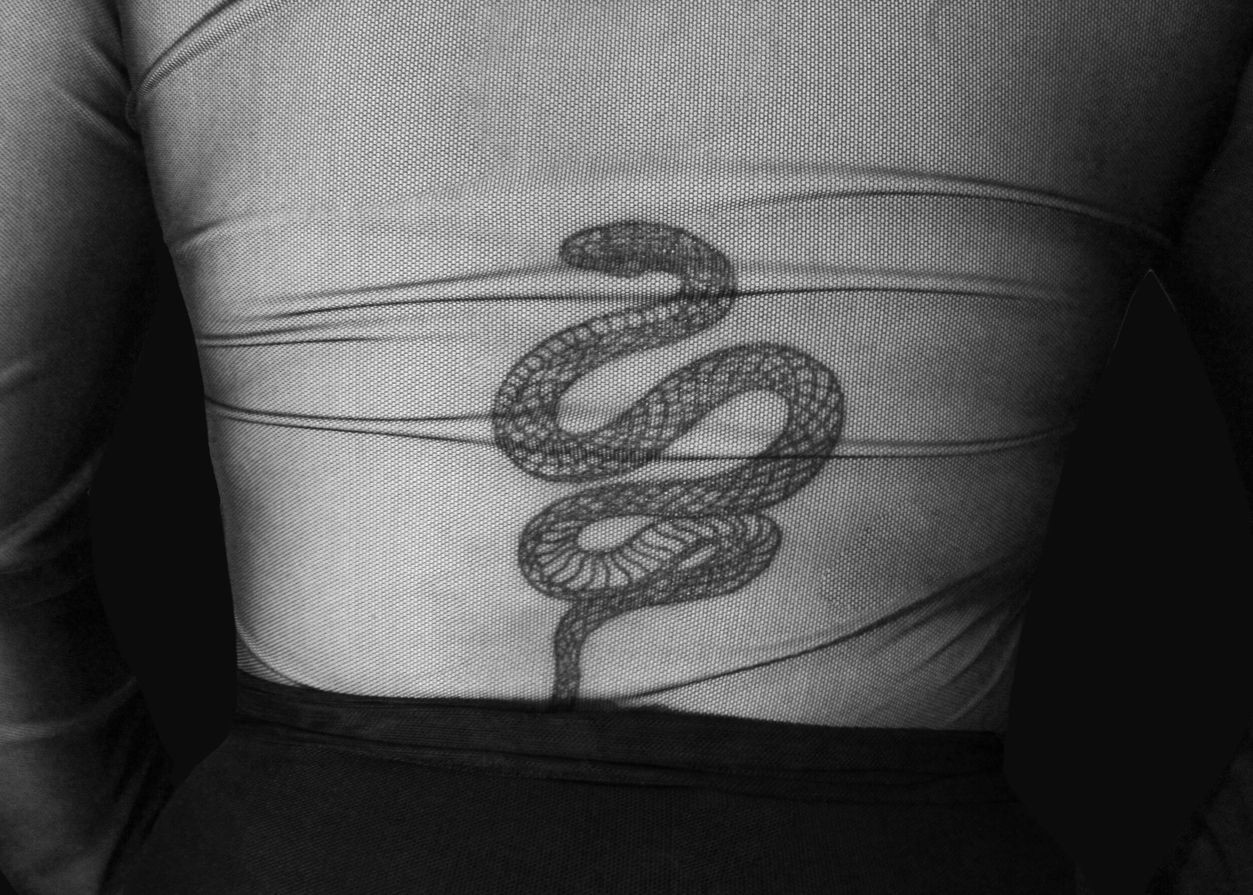helensnake1closeup.jpg