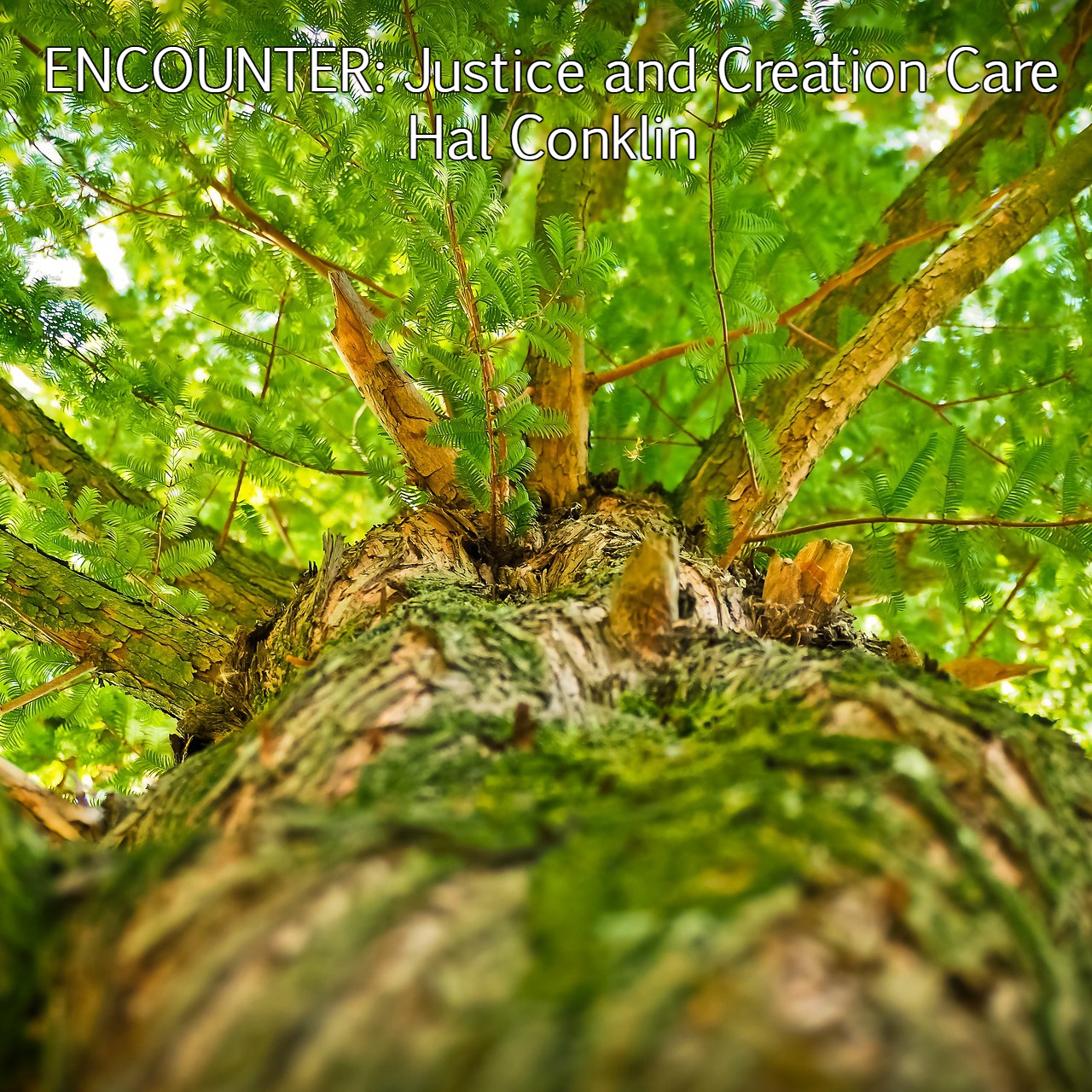 Encounter: Justice & Creation Care