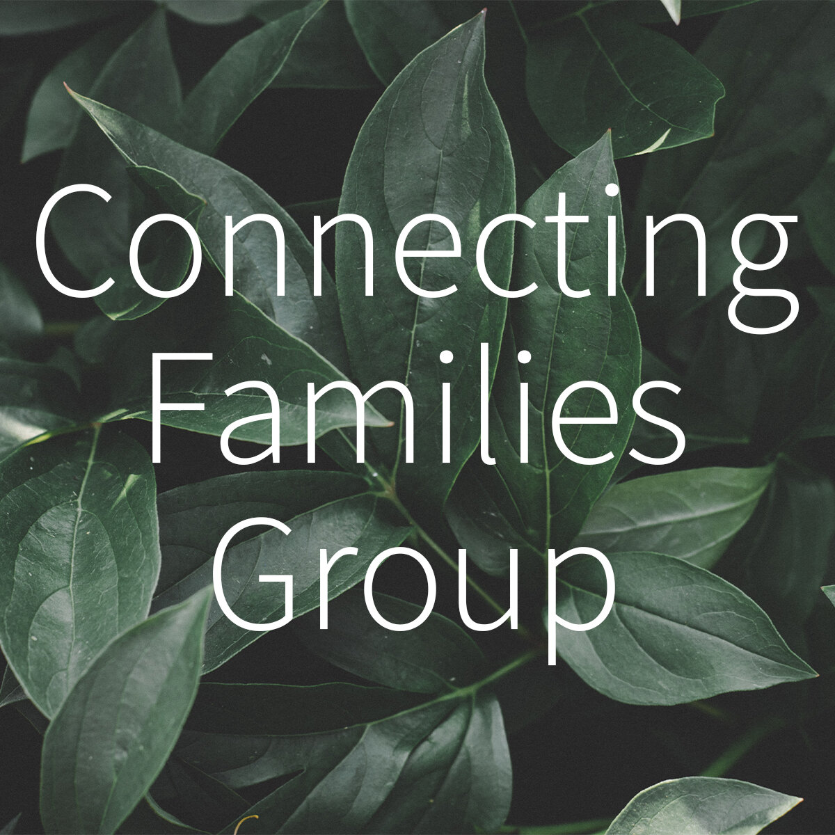 SG-connectingfamilies.jpg