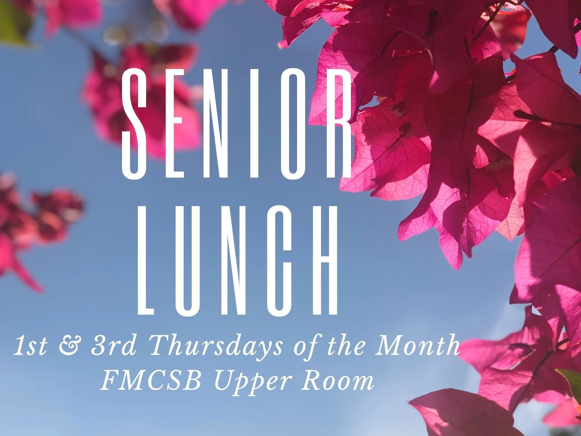 Senior Lunch