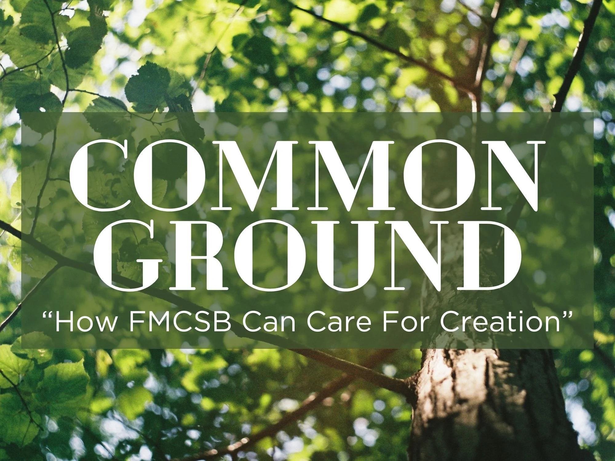 Common Ground