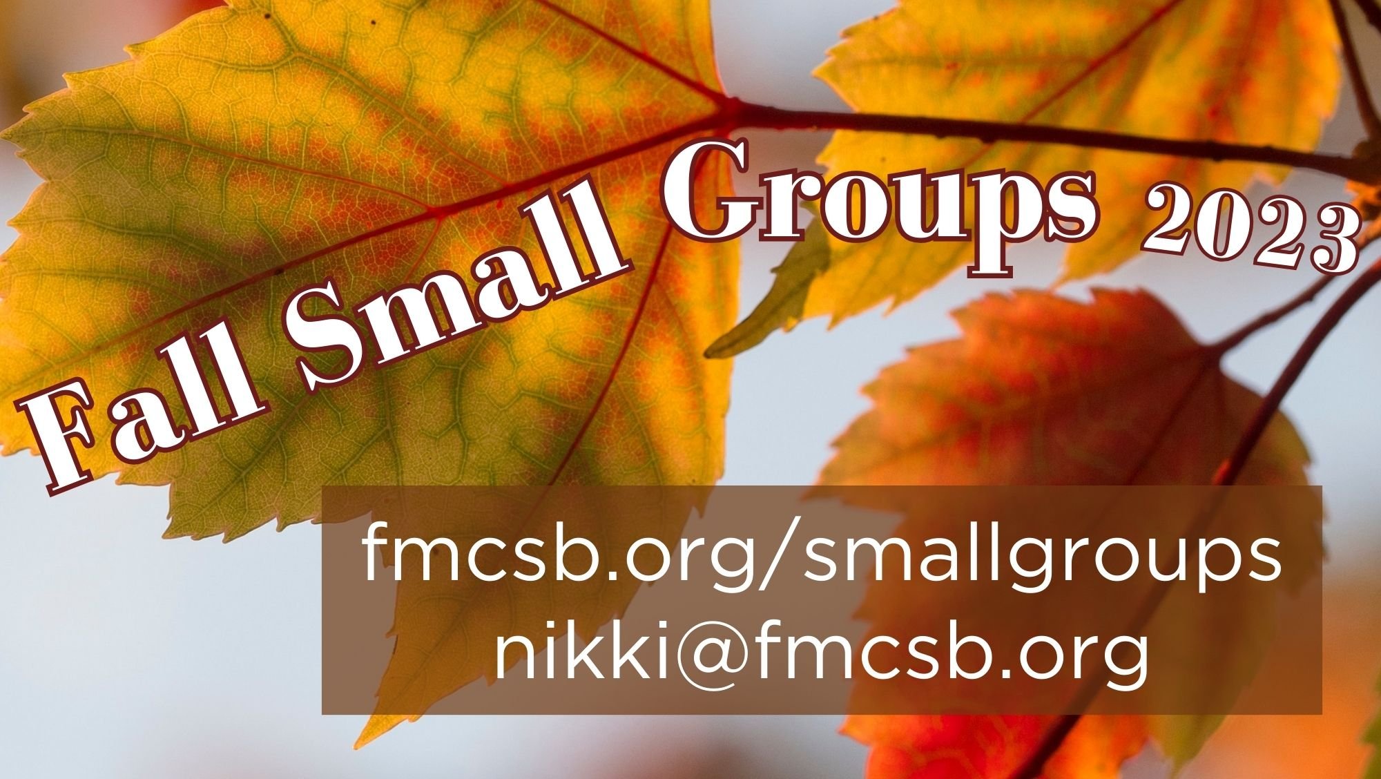 Fall Small Groups - New Life Fellowship
