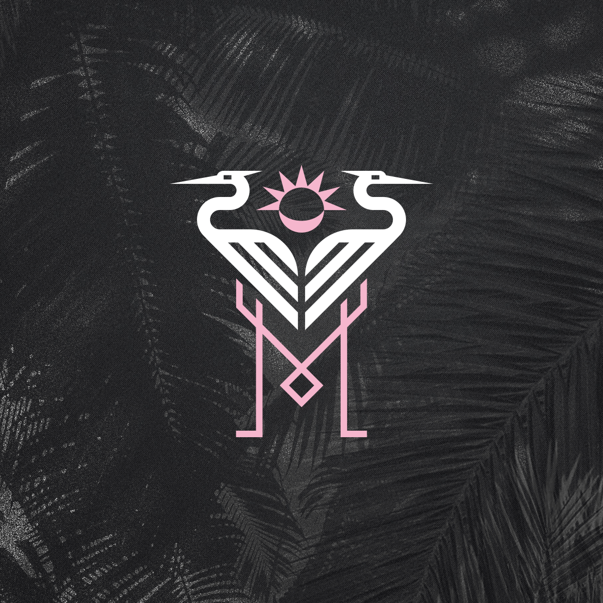 IMCF_PalmaBox_1x1.png