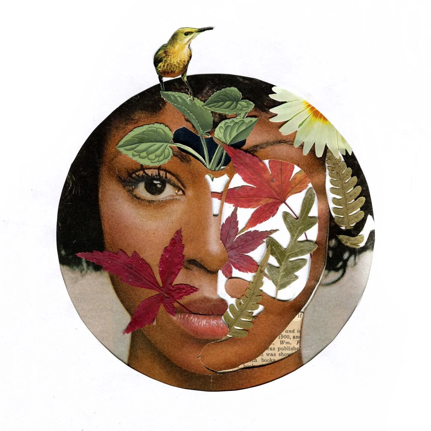 I used real leaves 🍁🍃to make this surreal collage, let me know in the comment if you like it?! Using a page from Ebony magazine. 

Instagram #collage #februllage
.
.
.
.
.
.
#editorial#analogcollage #artsupport #print #artcommunity #art #arts #gall