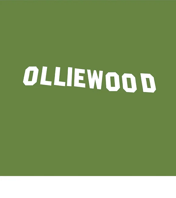  DVS® Olliewood tee 