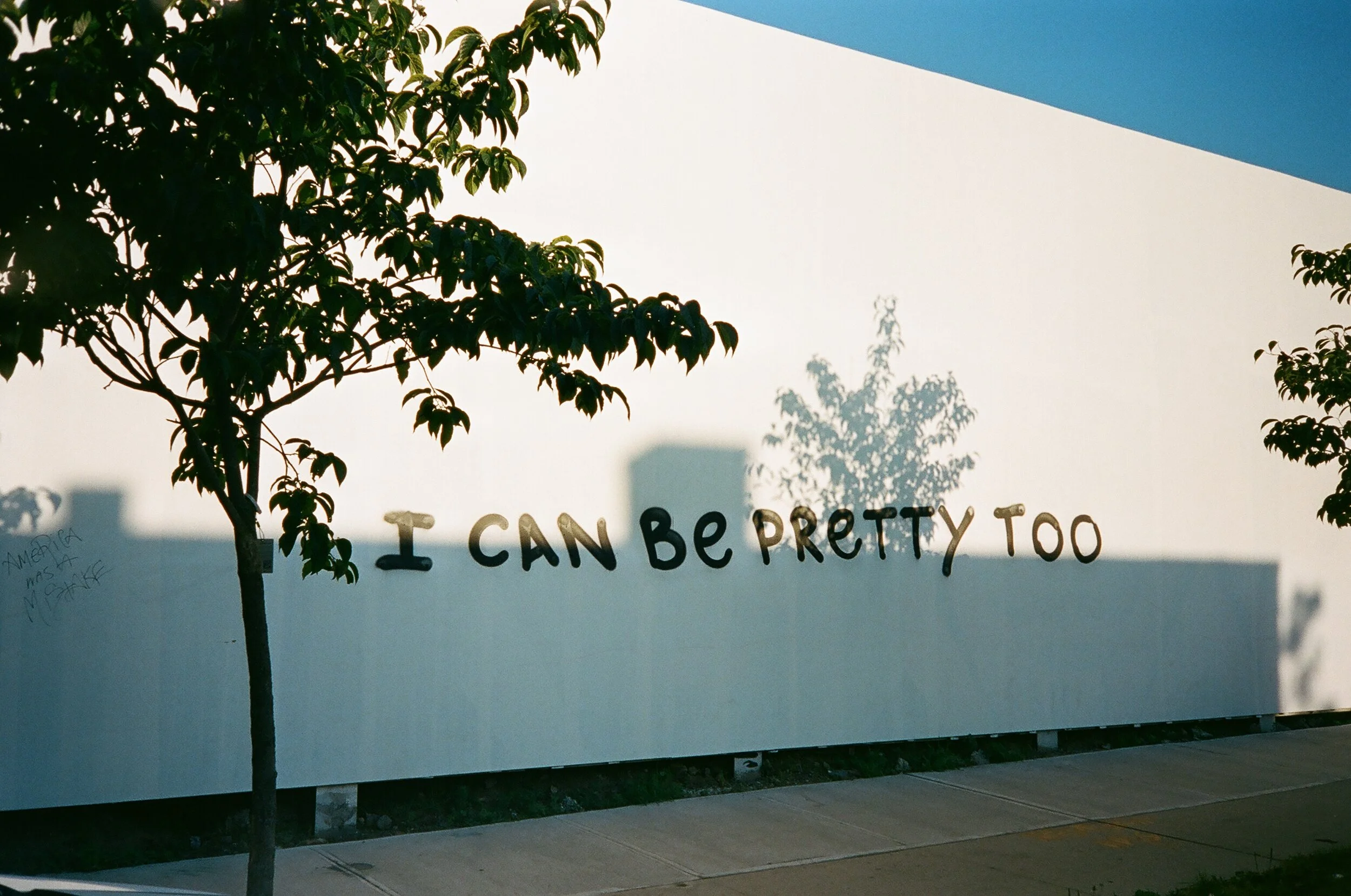  Mural, Greenpoint. 2019 