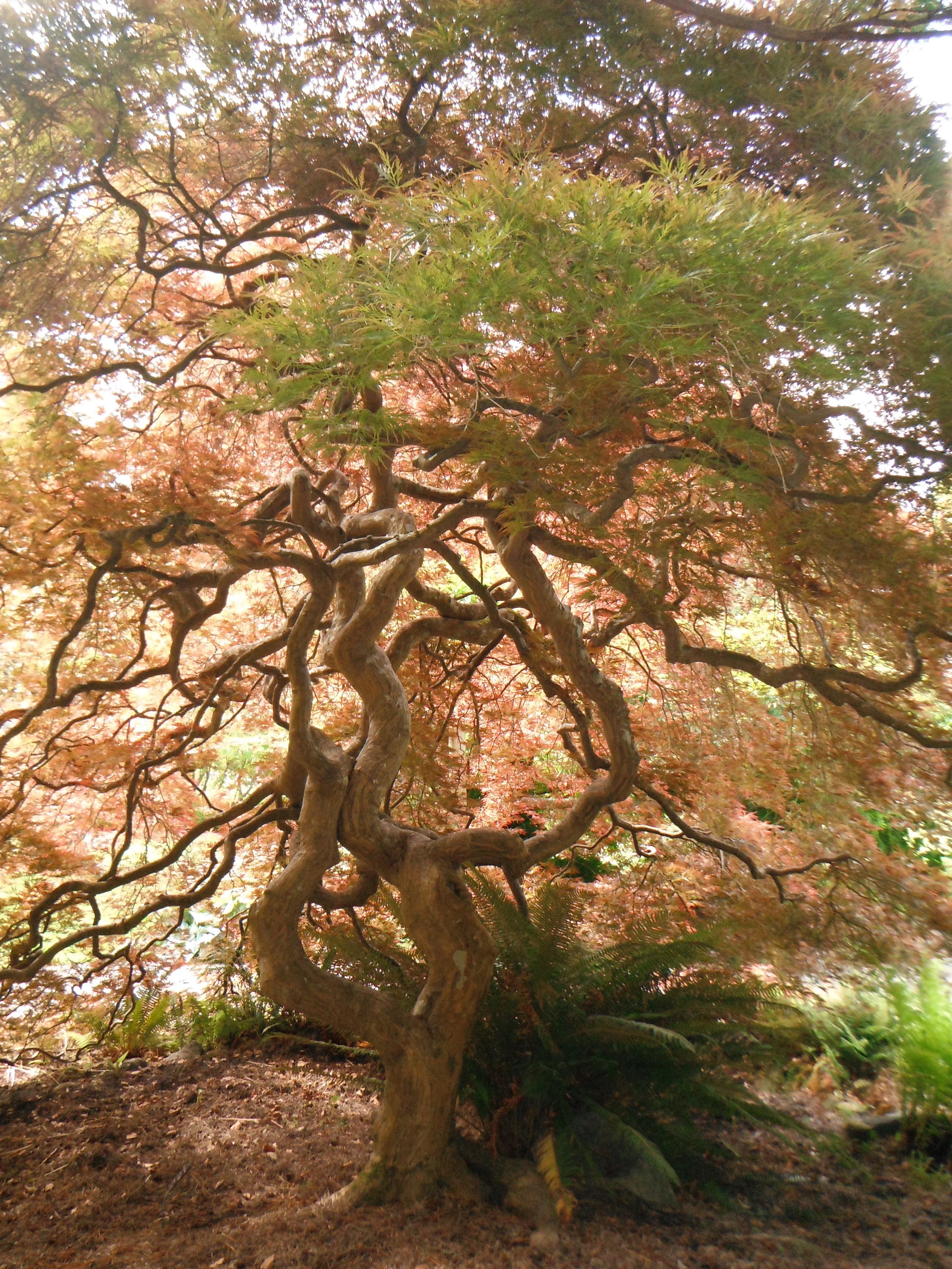 DSCF0211.JPG