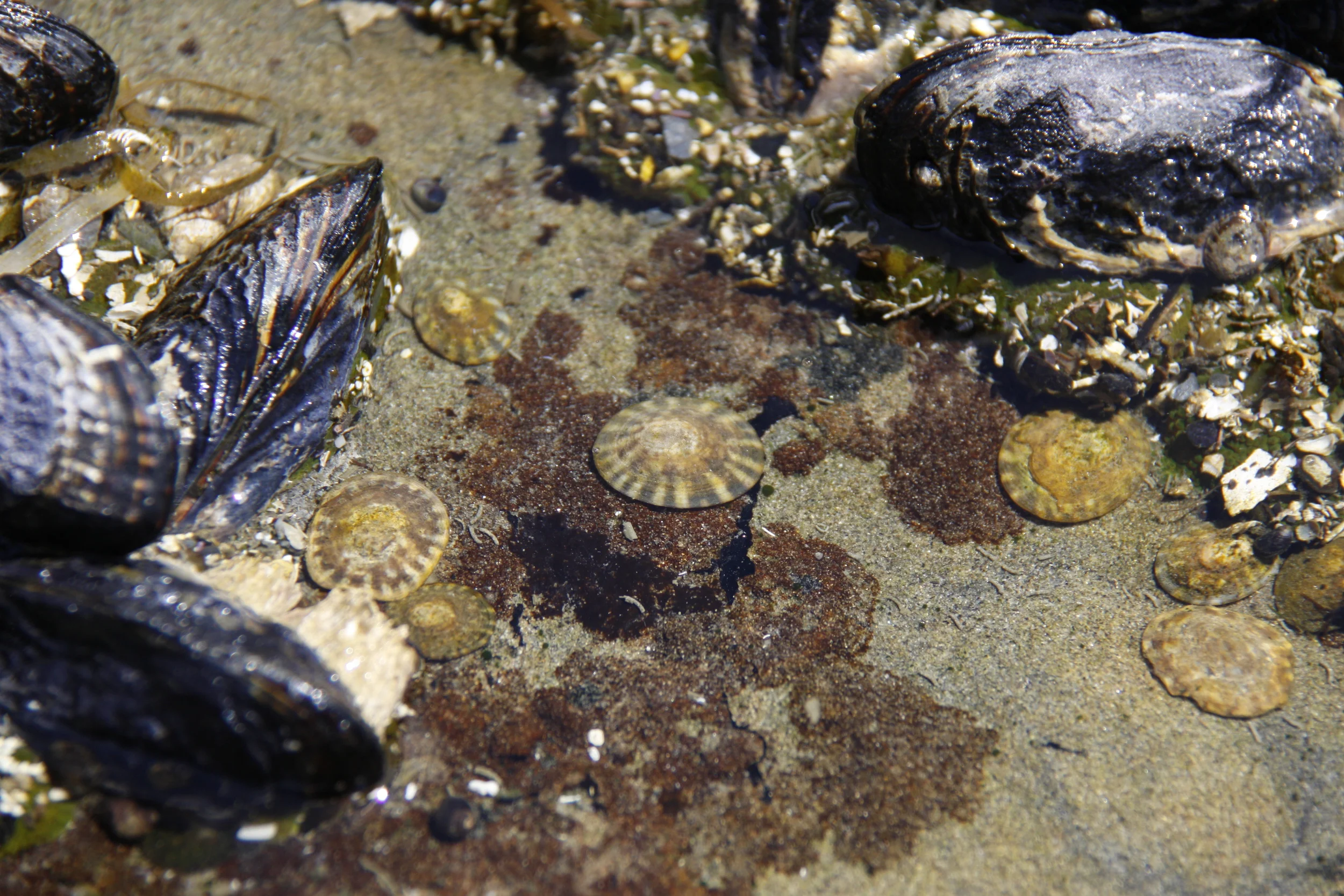 _MG_5533.JPG