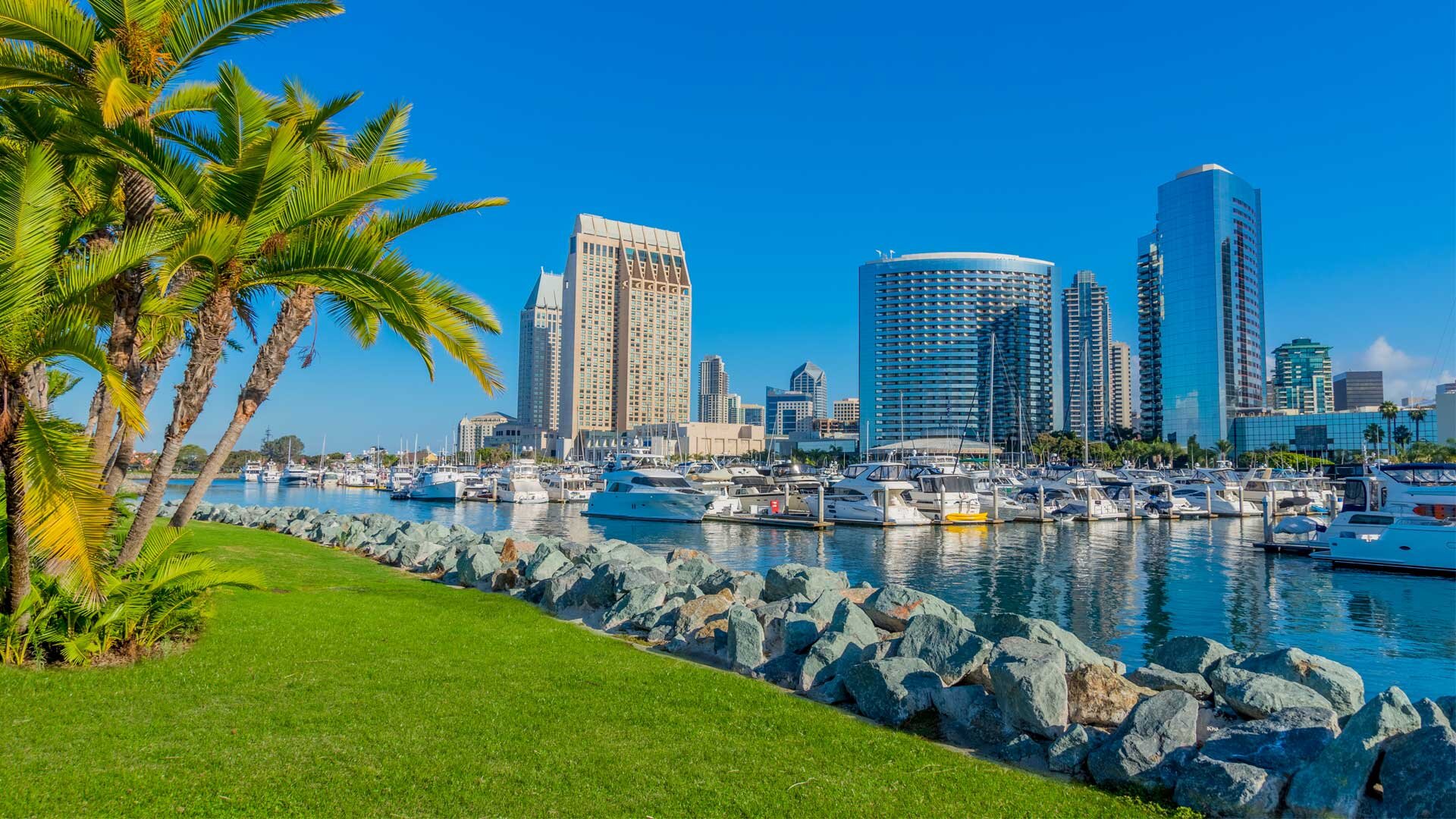 San Diego Skyline.jpg