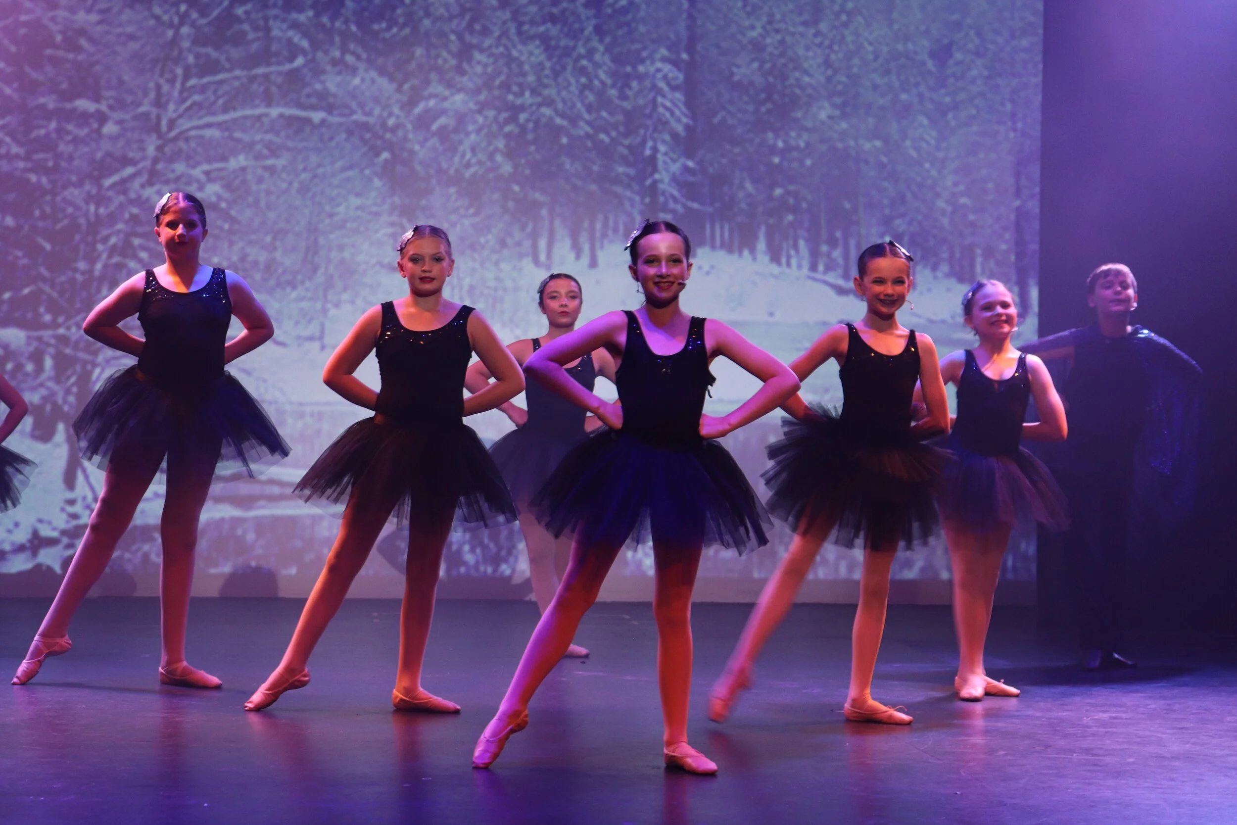 NAPA News - Week 2, Term 1, 2021