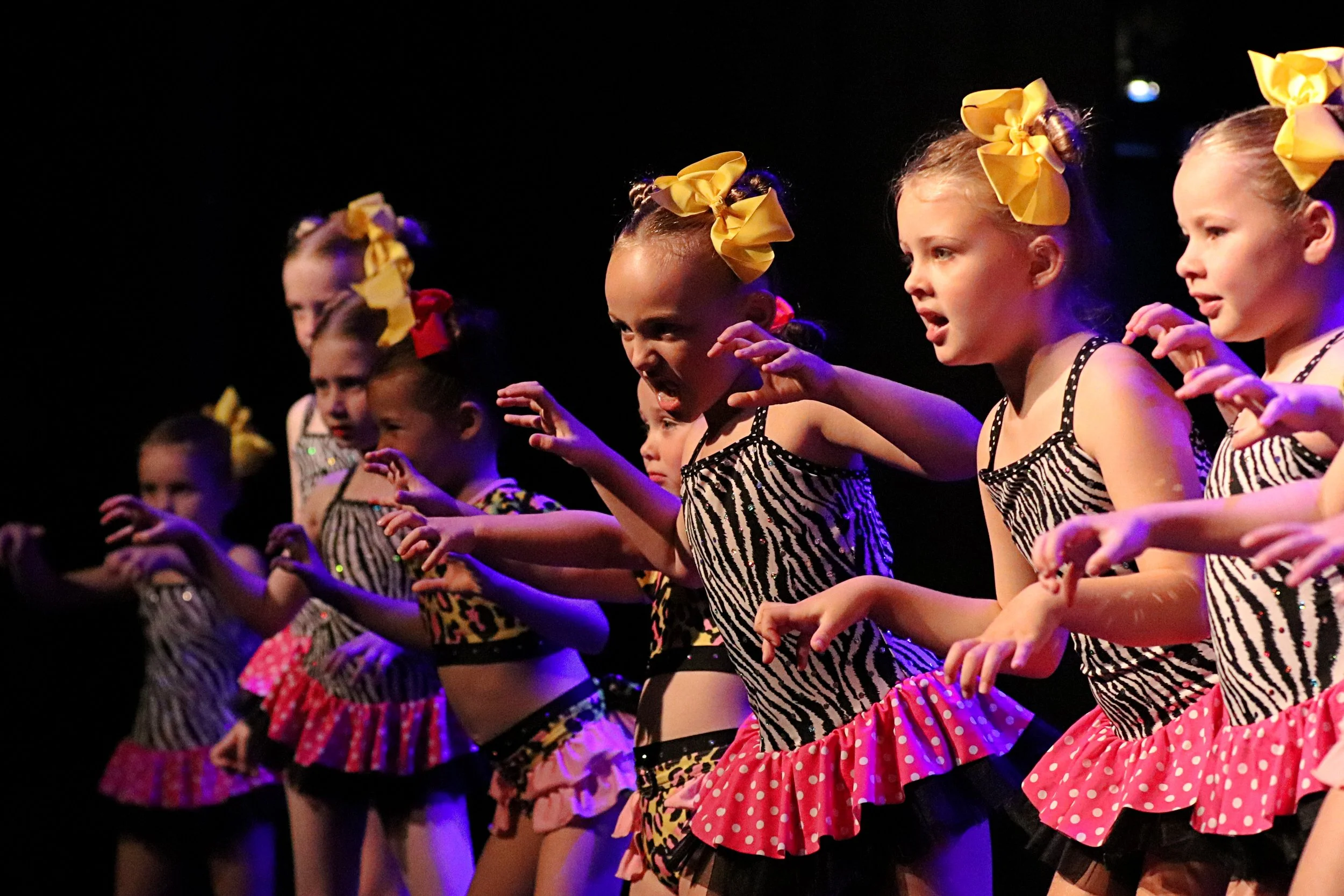 NAPA News - Week 7, Term 4, 2025