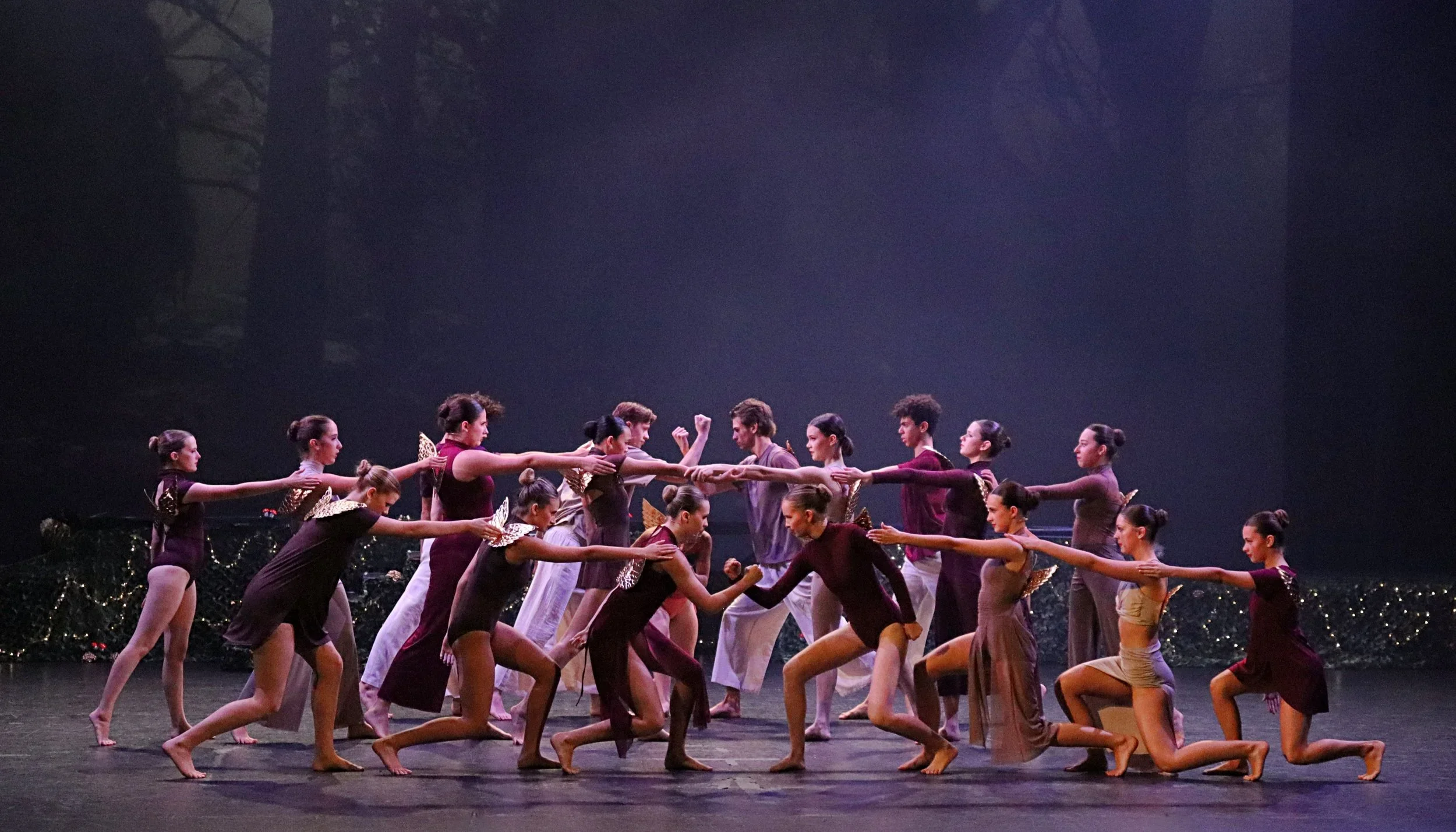 NAPA News - Week 9, Term 1, 2026