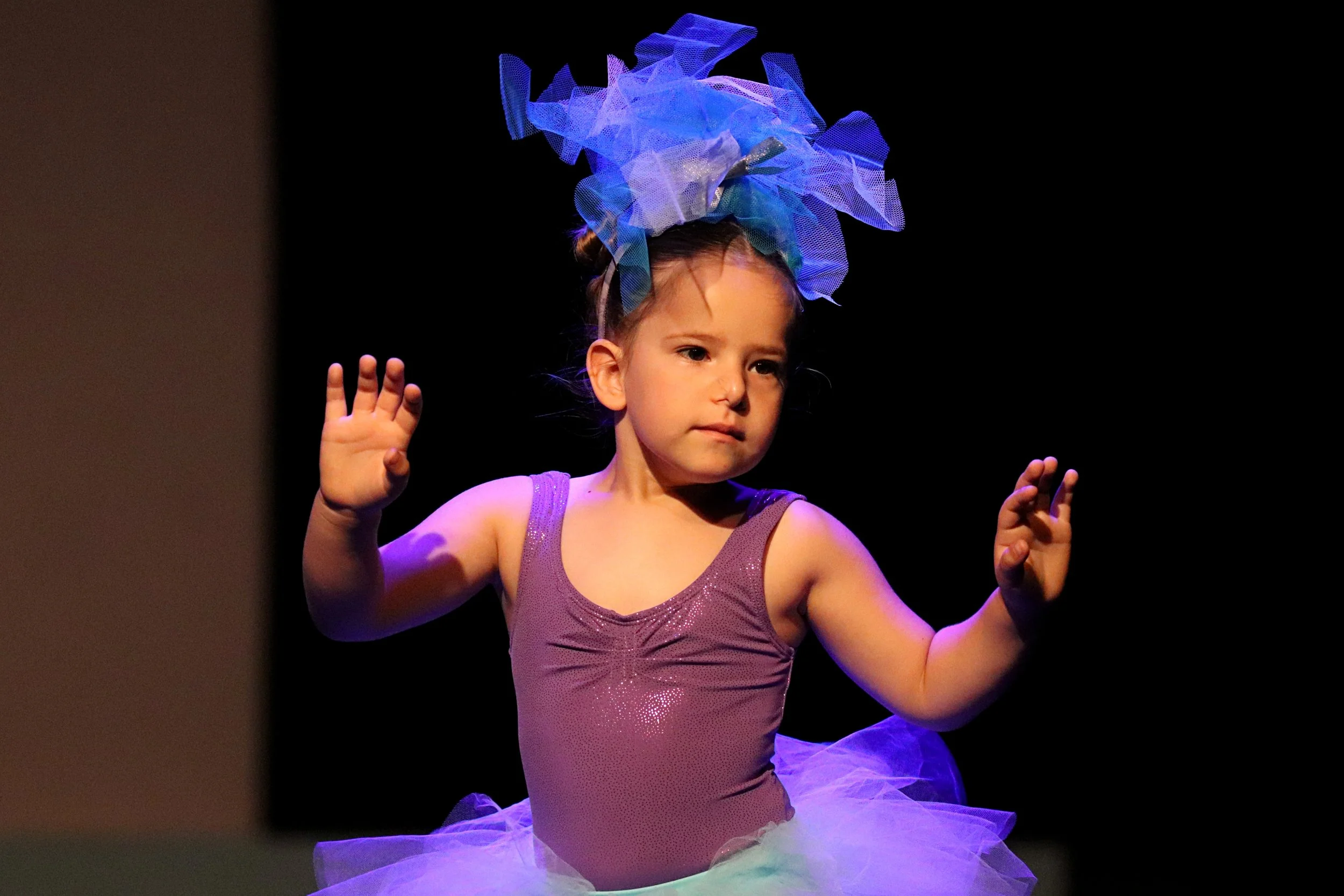 NAPA News - Week 3, Term 2, 2026