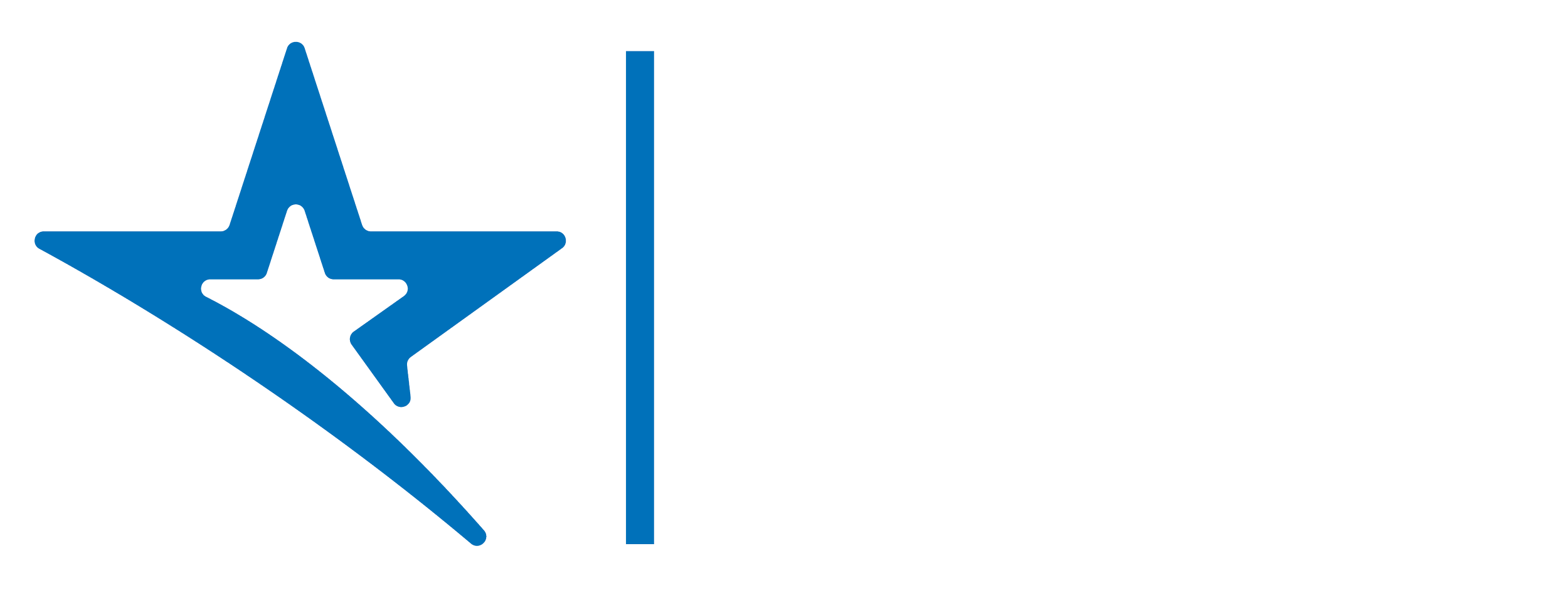 National Academy of Performing Arts (NAPA)