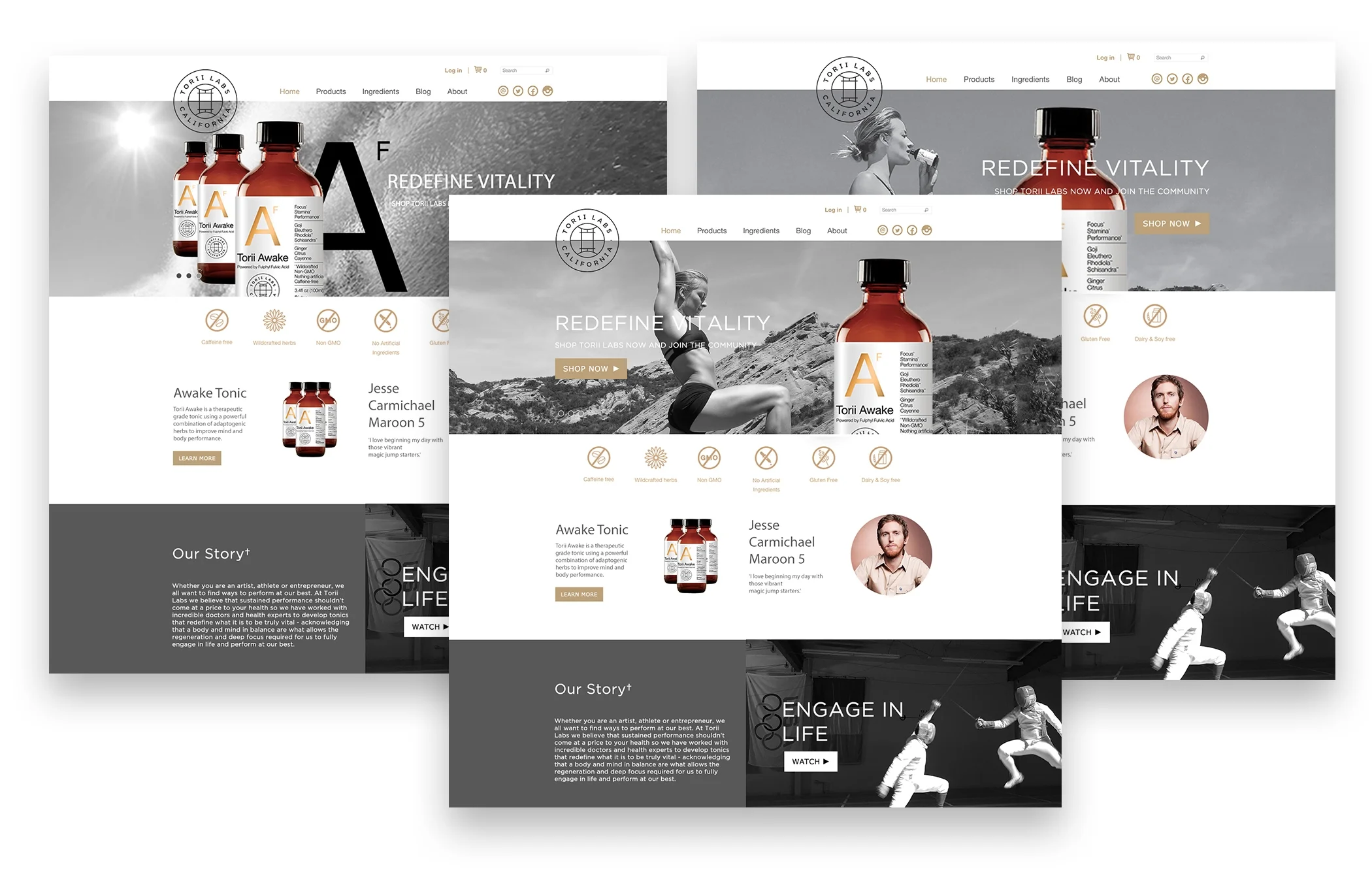homepages_torii.jpg