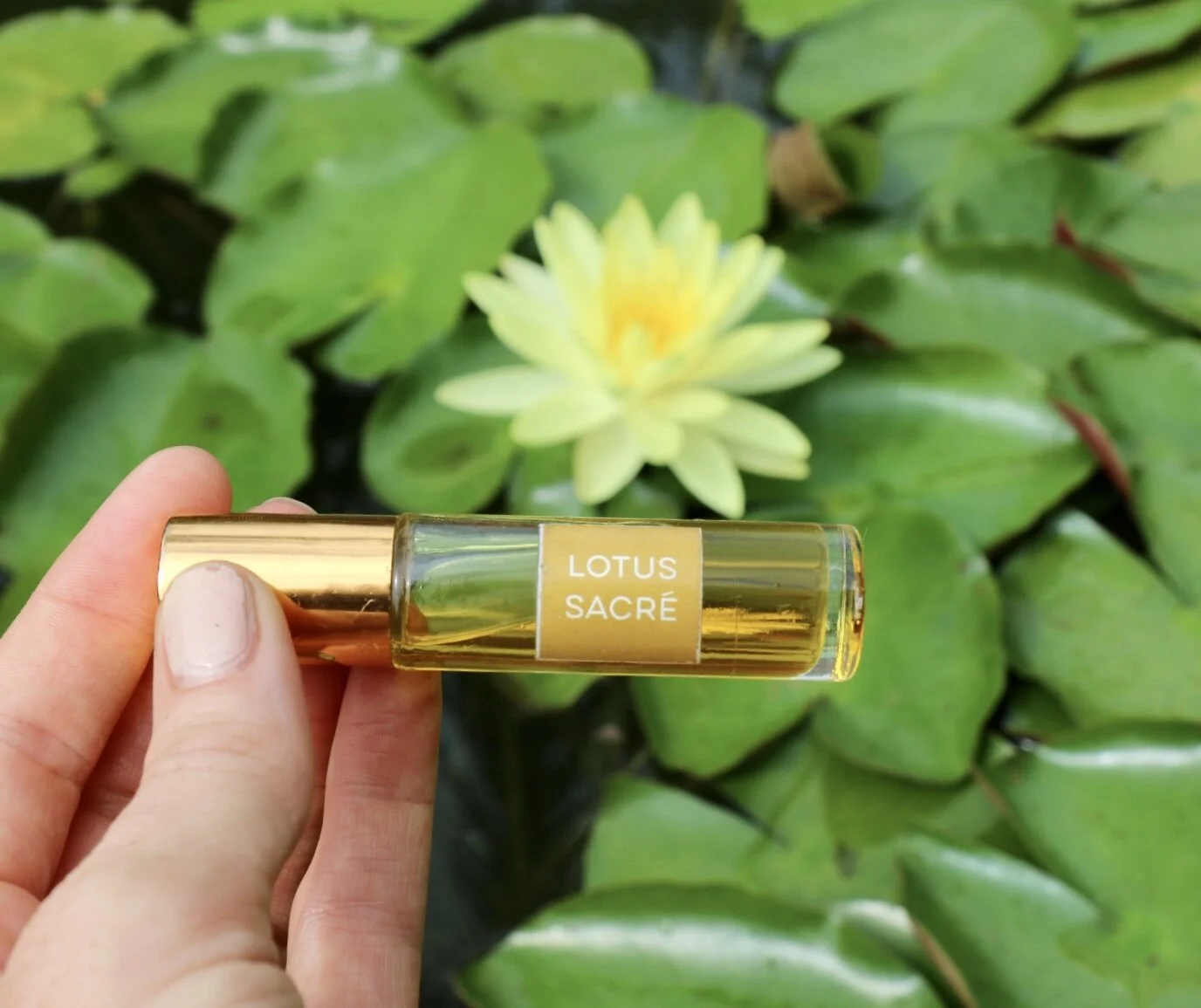 Roll on Oil Making with Quinntessentials 