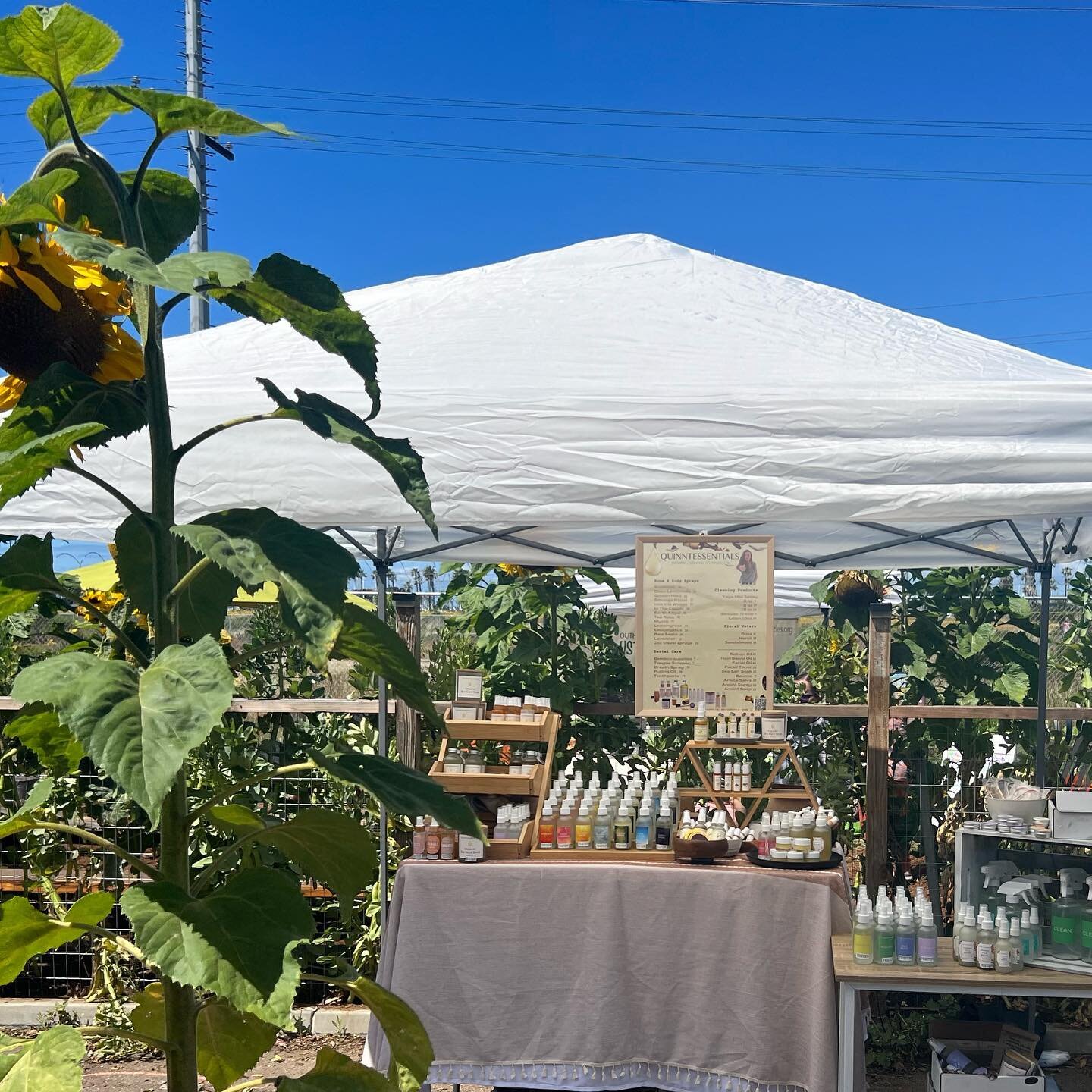 This was one of my favorite pop ups ever!  The garden and space at Urban Timber + the Community was incredible.  It was like all the circles of friends were connected by two degrees of separation instead of 6 today.  #grateful #community #gardenlove 