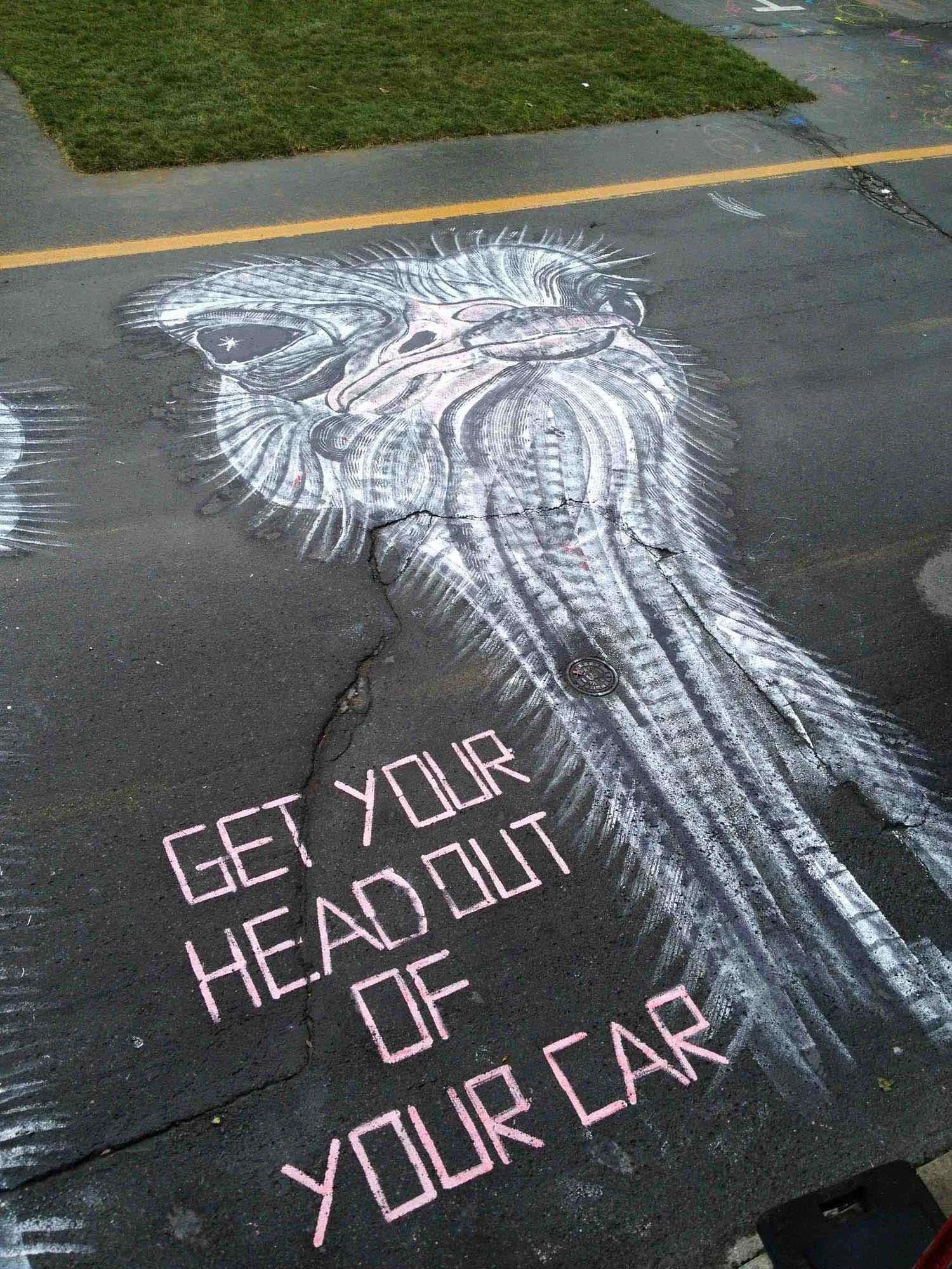 ostrich_02.jpg